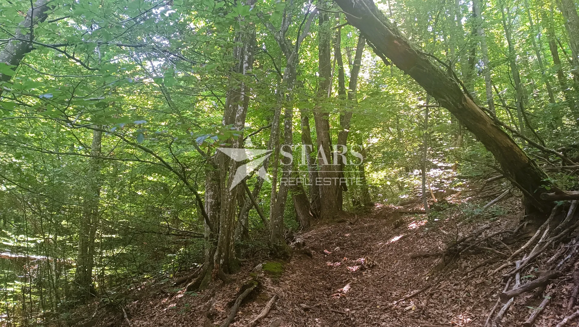 slunj - veliko zemljište s potencijalom – mirna lokacija u blizini slunja - slika 11