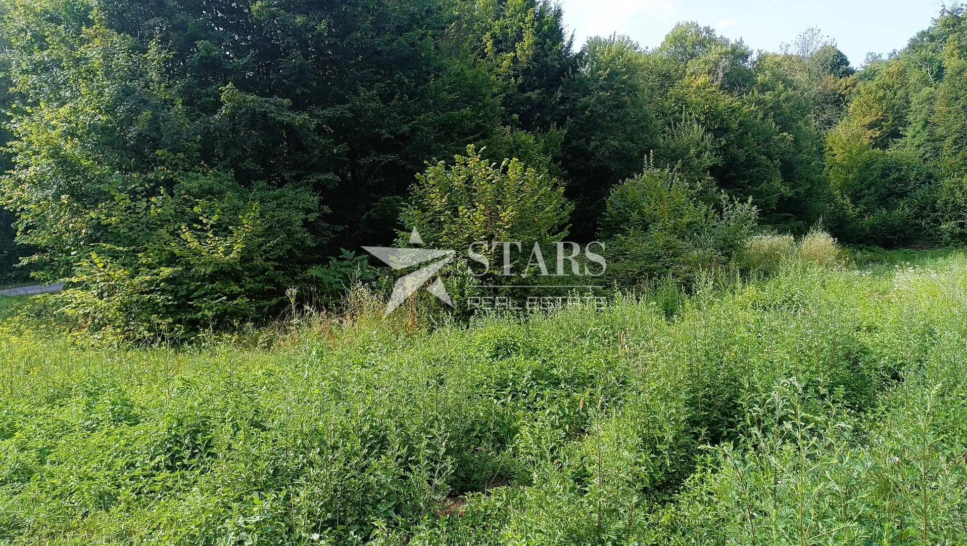 popovo selo - poljoprivredno zemljište – 53.418 m² (šuma, oranice, pašnjaci, livade) - slika 12