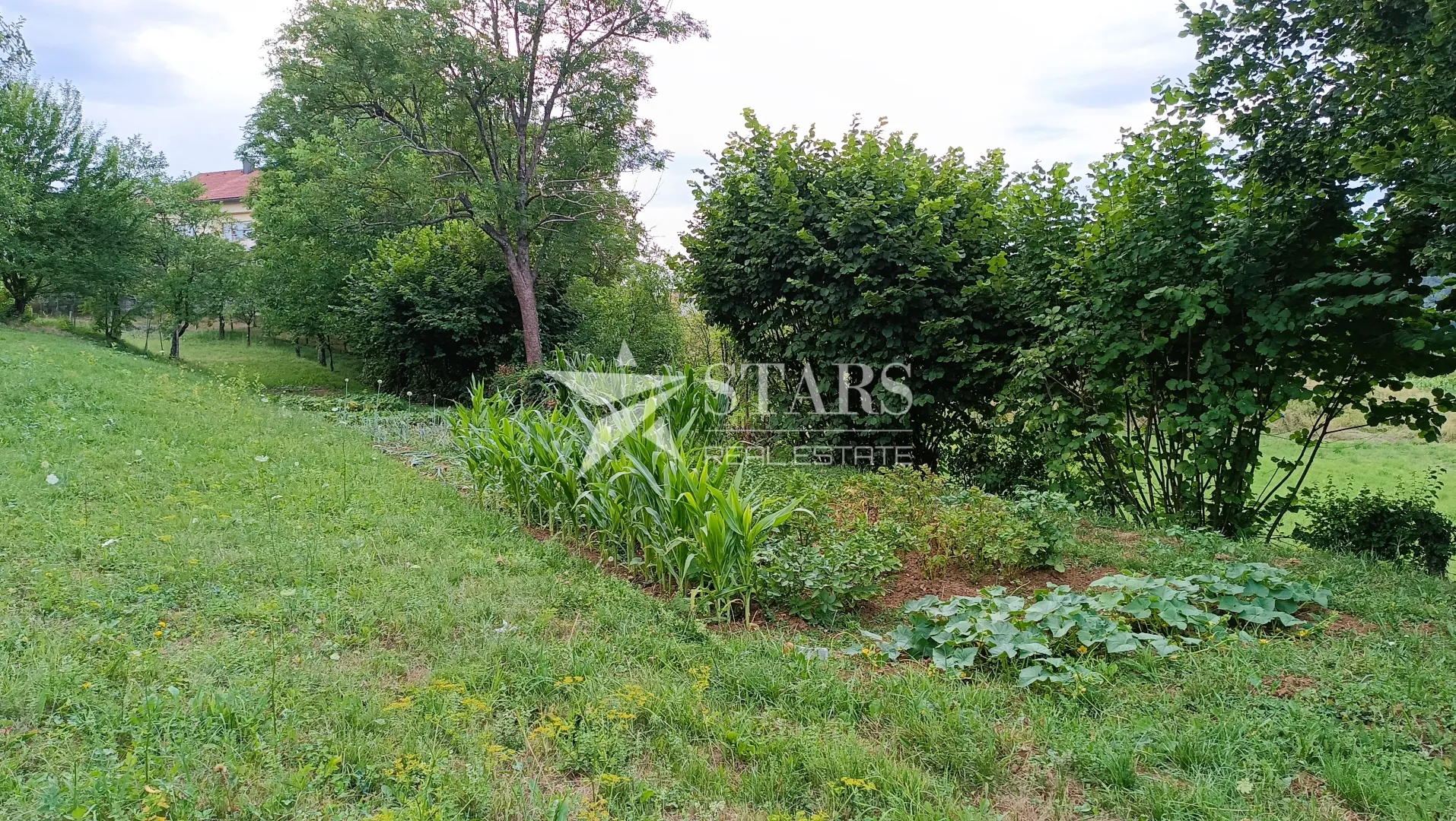ogulin -prizemnica 97 m² s voćnjakom i pomoćnim objektima, 1.871 m² parcela - slika 28