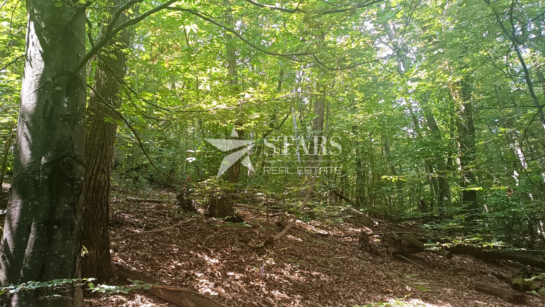 slunj - veliko zemljište s potencijalom – mirna lokacija u blizini slunja - slika 13
