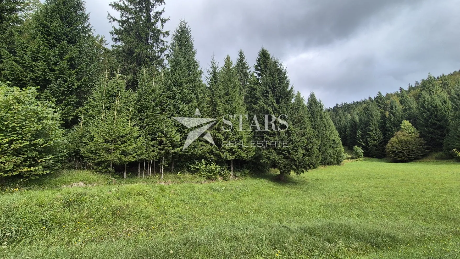 gorski kotar, tršće - građevinski teren 1000 m2 sa glavnim projektom - slika 3