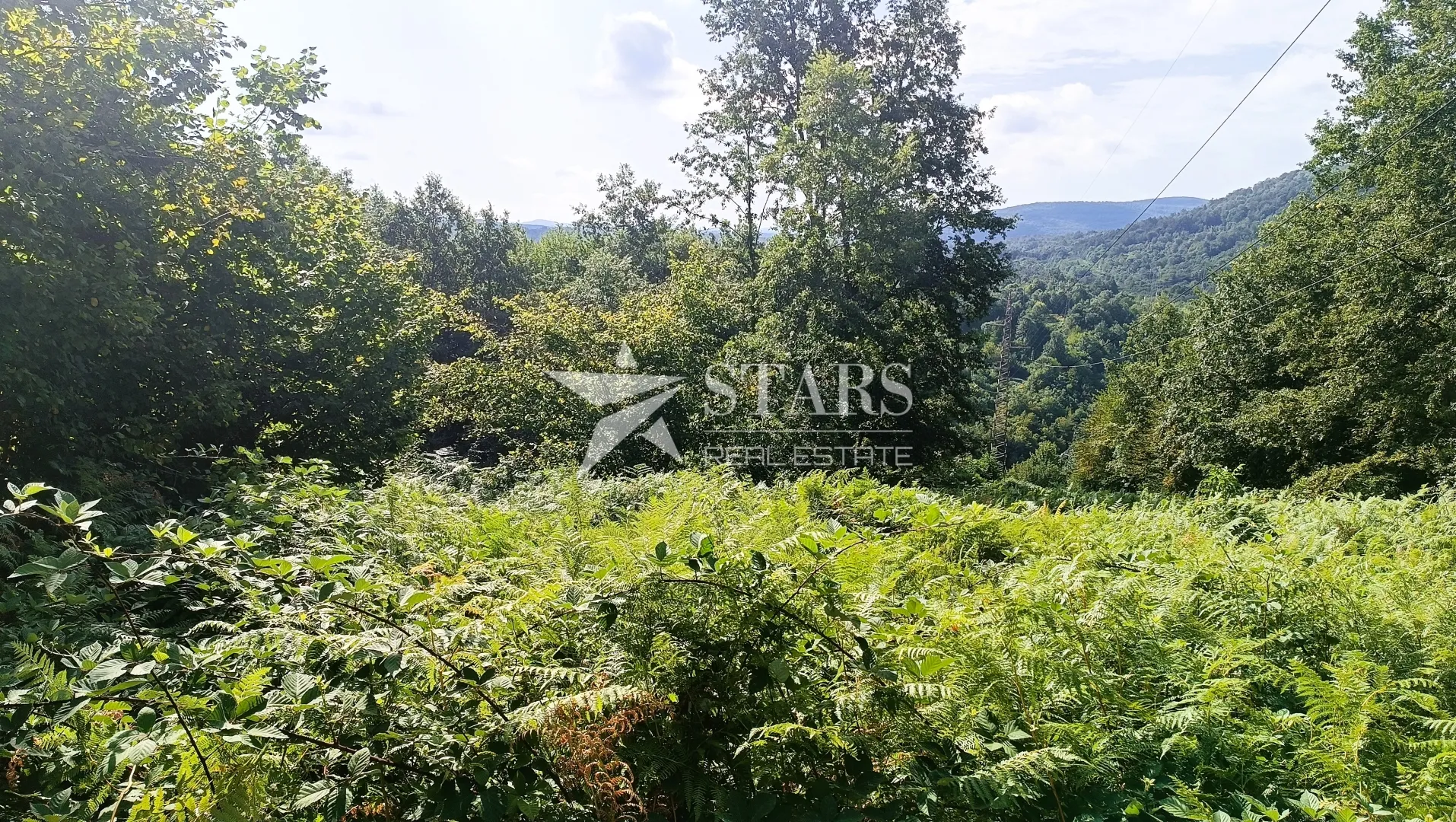 popovo selo - poljoprivredno zemljište – 53.418 m² (šuma, oranice, pašnjaci, livade) - slika 5