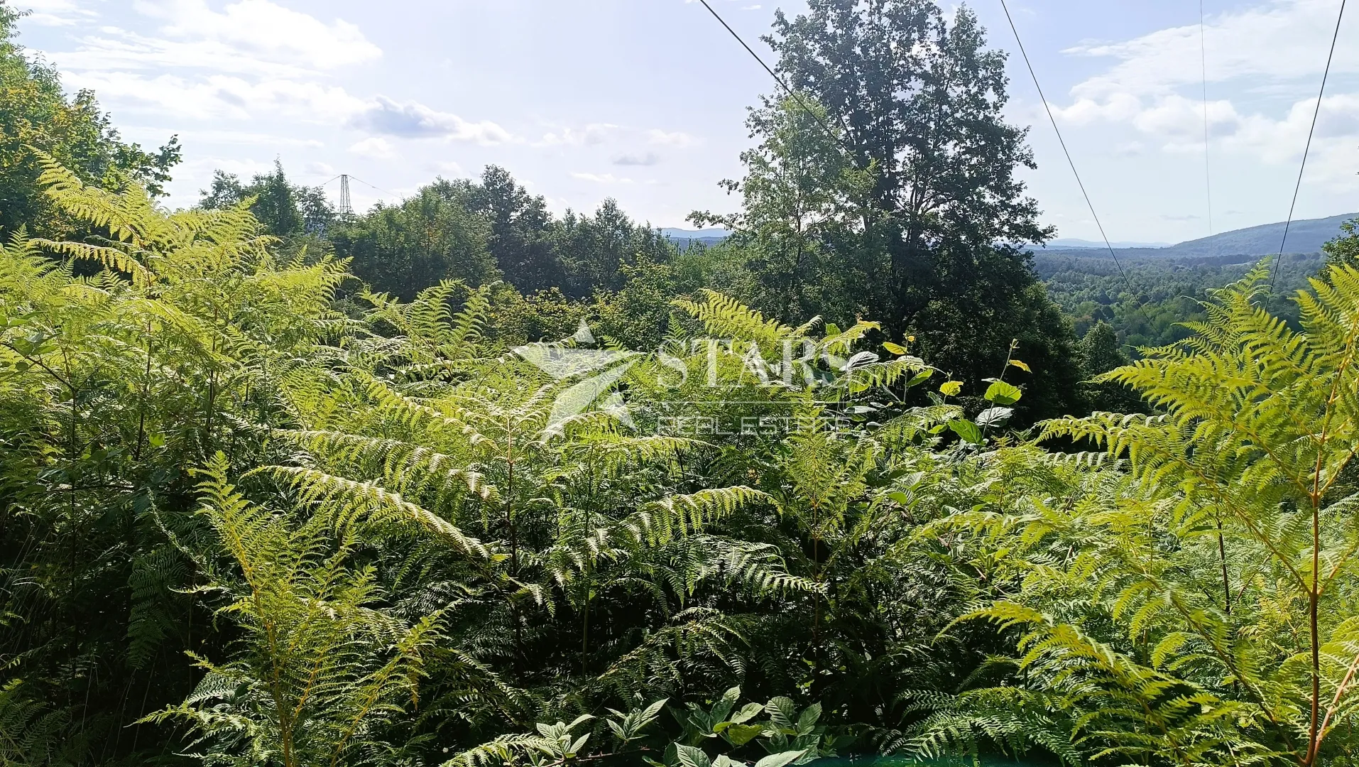 popovo selo - poljoprivredno zemljište – 53.418 m² (šuma, oranice, pašnjaci, livade) - slika 4