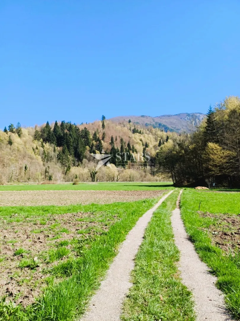 gorski kotar ,plešce - građevinsko zemljište idealno za kuću za odmor! - slika 5