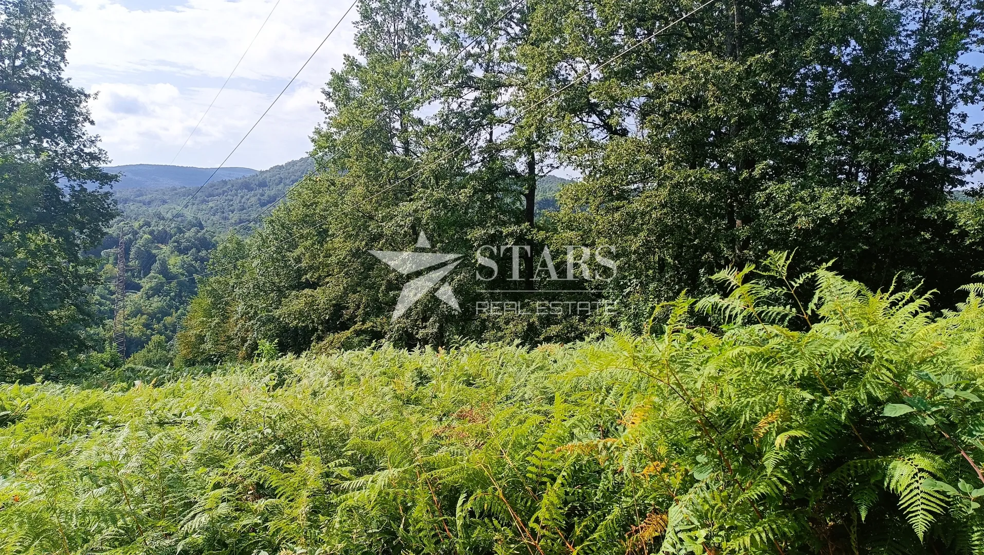 popovo selo - poljoprivredno zemljište – 53.418 m² (šuma, oranice, pašnjaci, livade) - slika 6