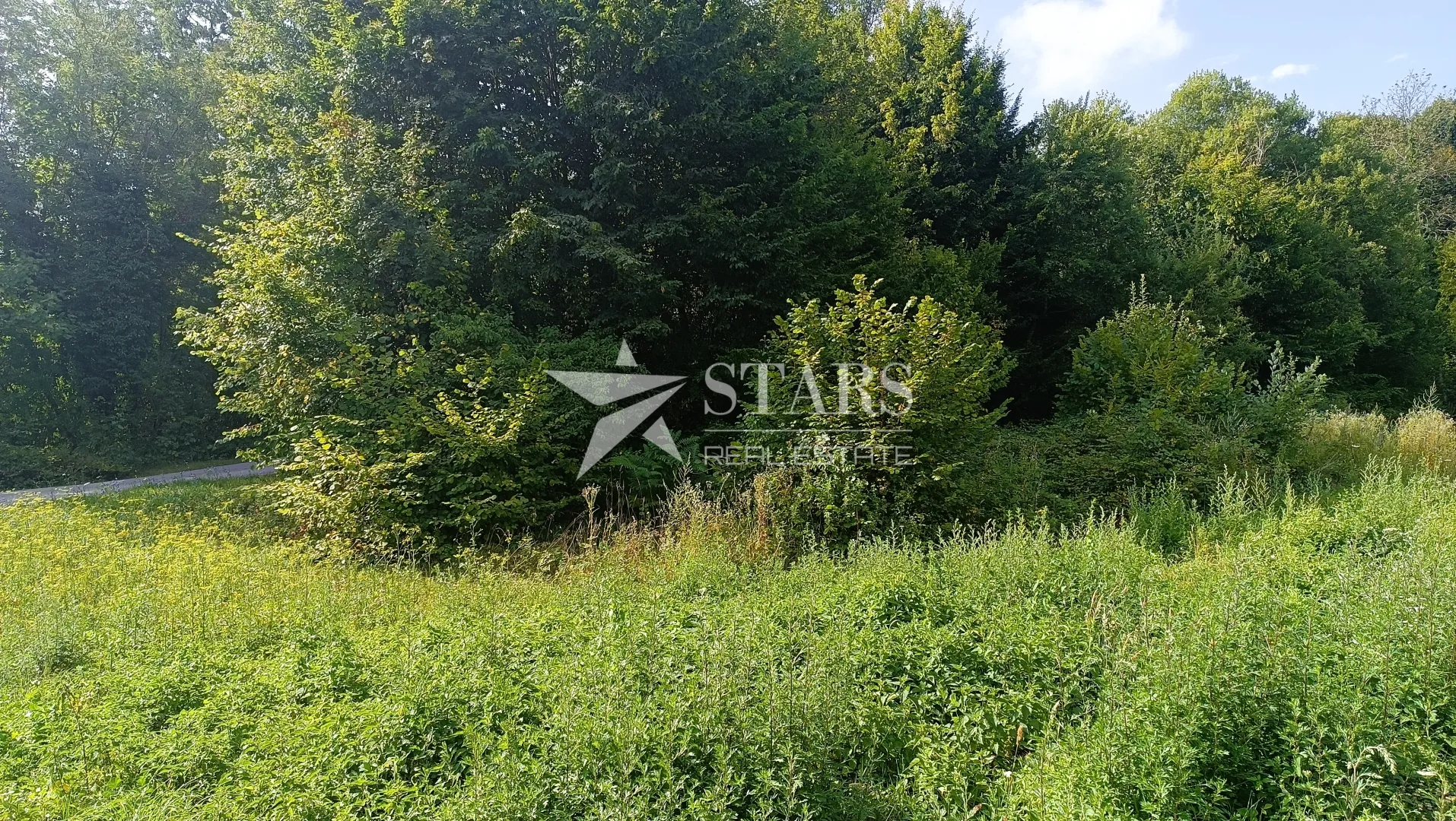 popovo selo - poljoprivredno zemljište – 53.418 m² (šuma, oranice, pašnjaci, livade) - slika 11