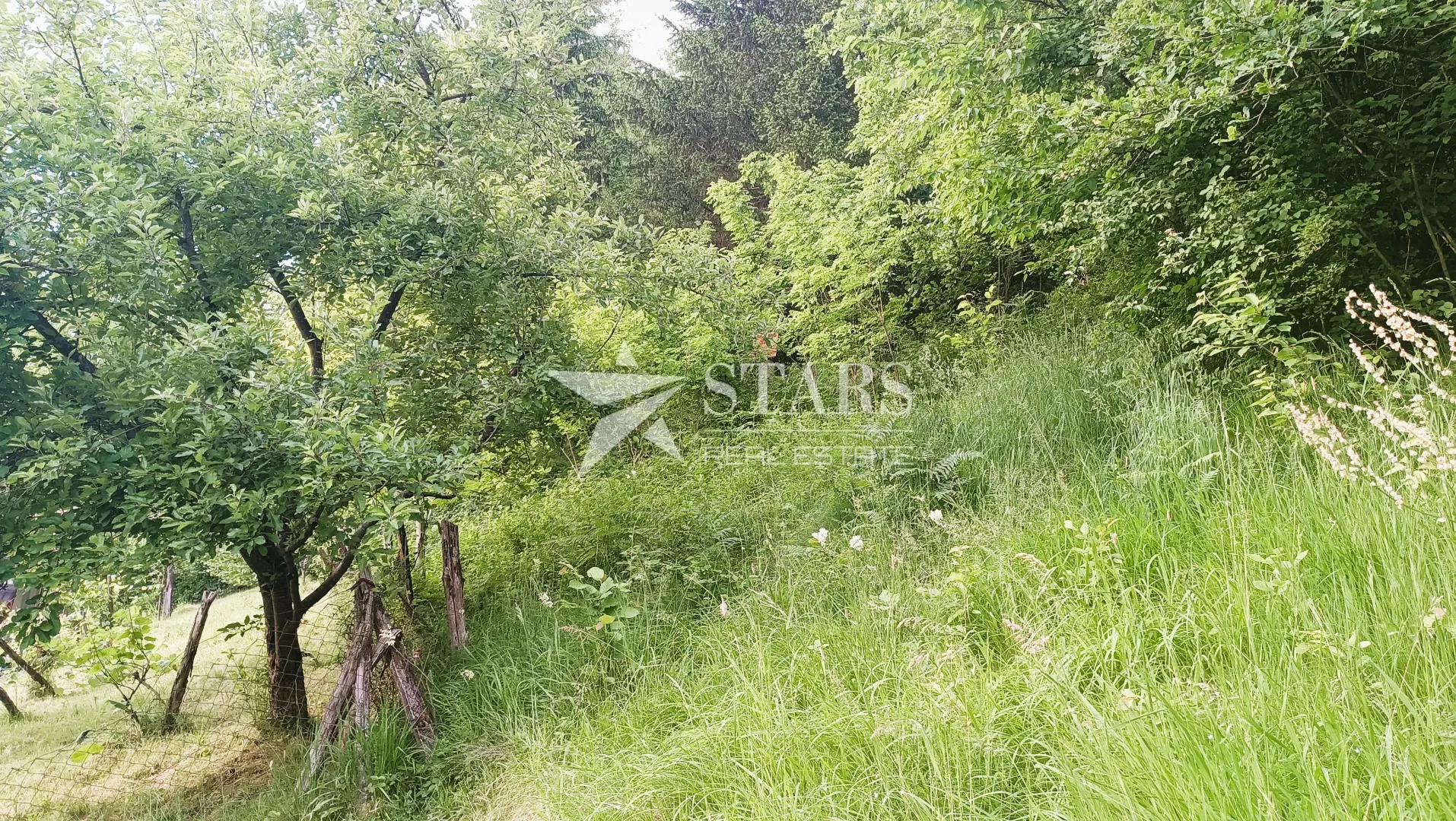barilović - poljoprivredno zemljište s jelovom šumom 5 016 m2 - slika 14