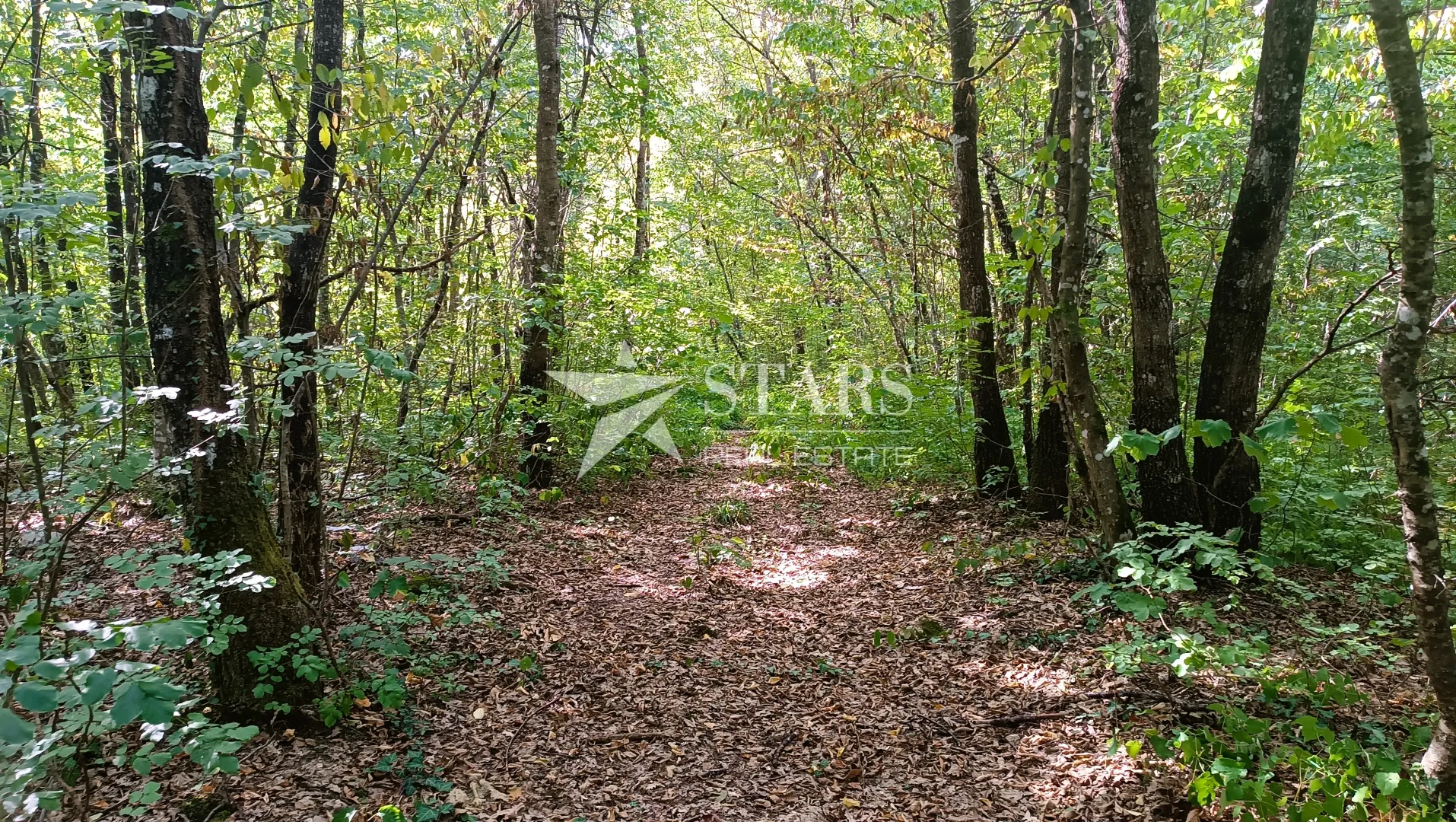popovo selo - poljoprivredno zemljište – 53.418 m² (šuma, oranice, pašnjaci, livade) - slika 19