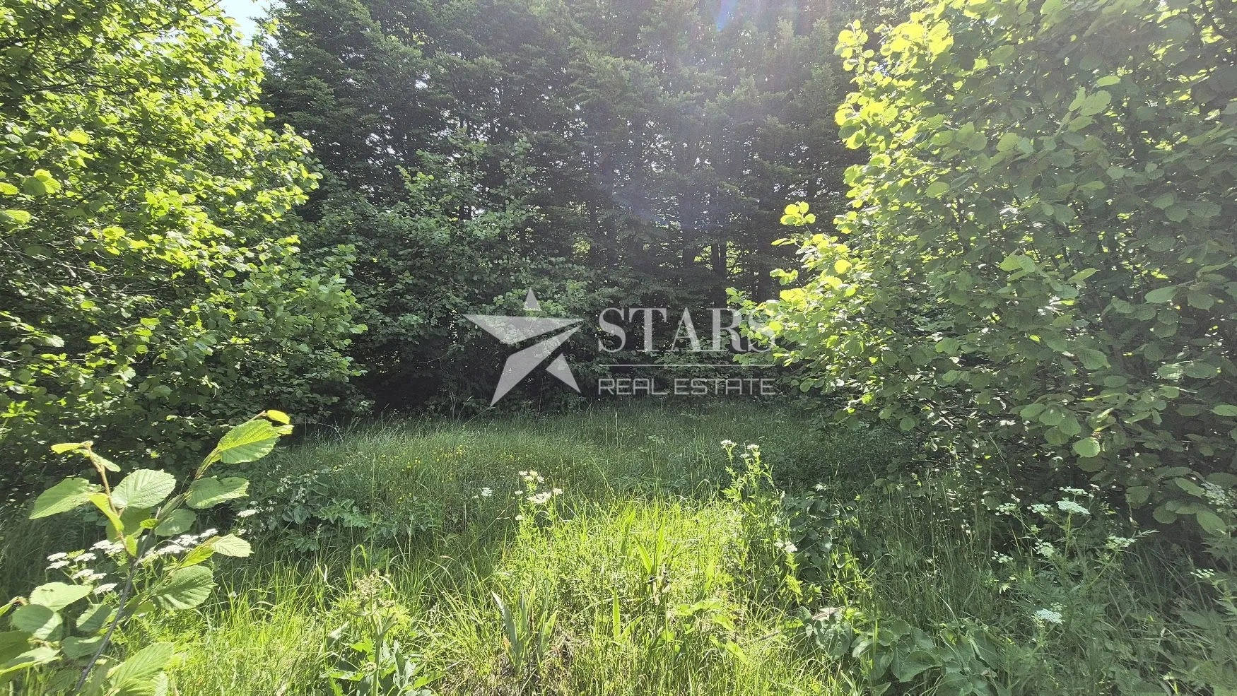 gorski kotar, delnice - polane vikend naselje, građevinski teren 2564 m2 - slika 2