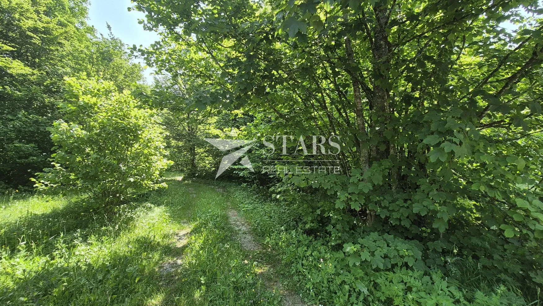 gorski kotar, delnice - polane vikend naselje, građevinski teren 2564 m2 - slika 3
