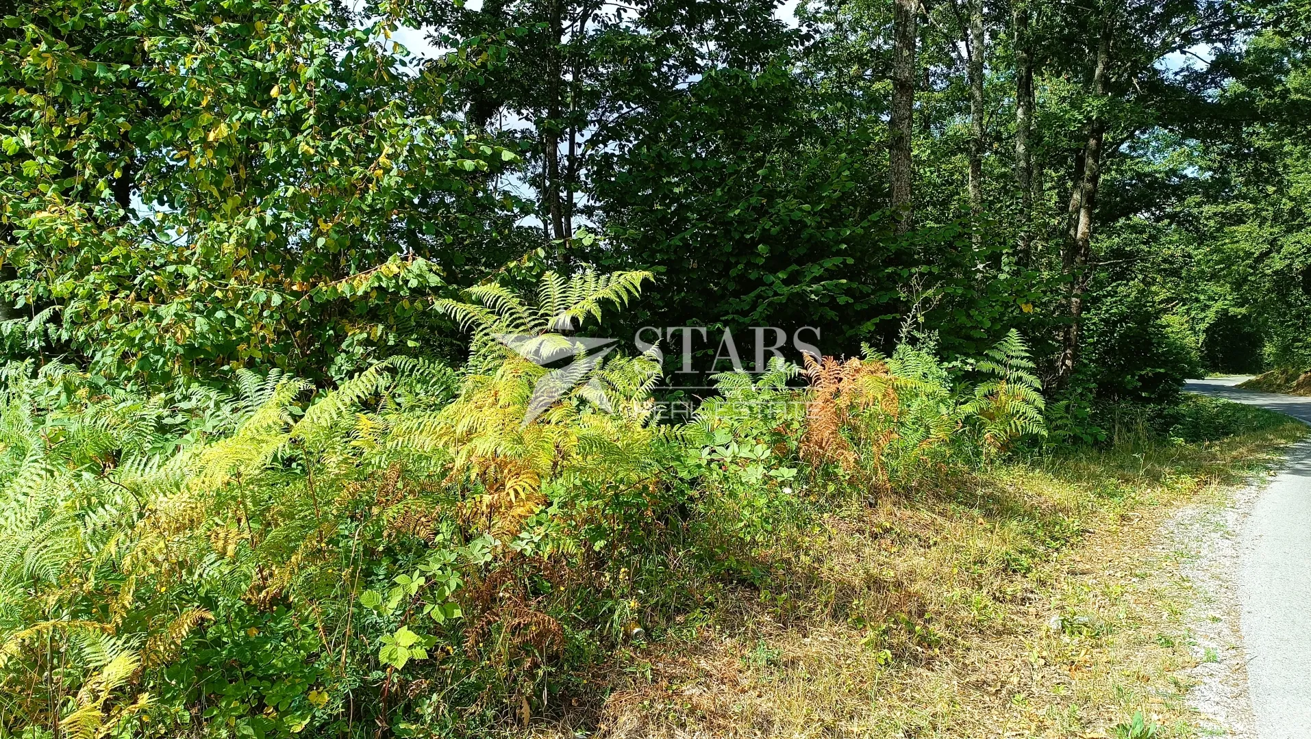 Popovo selo - Poljoprivredno zemljište – 53.418 m² (šuma, oranice, pašnjaci, livade) - Popovo Selo, Ogulin