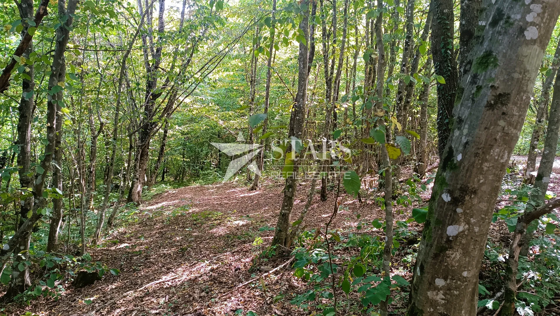 popovo selo - poljoprivredno zemljište – 53.418 m² (šuma, oranice, pašnjaci, livade) - slika 21