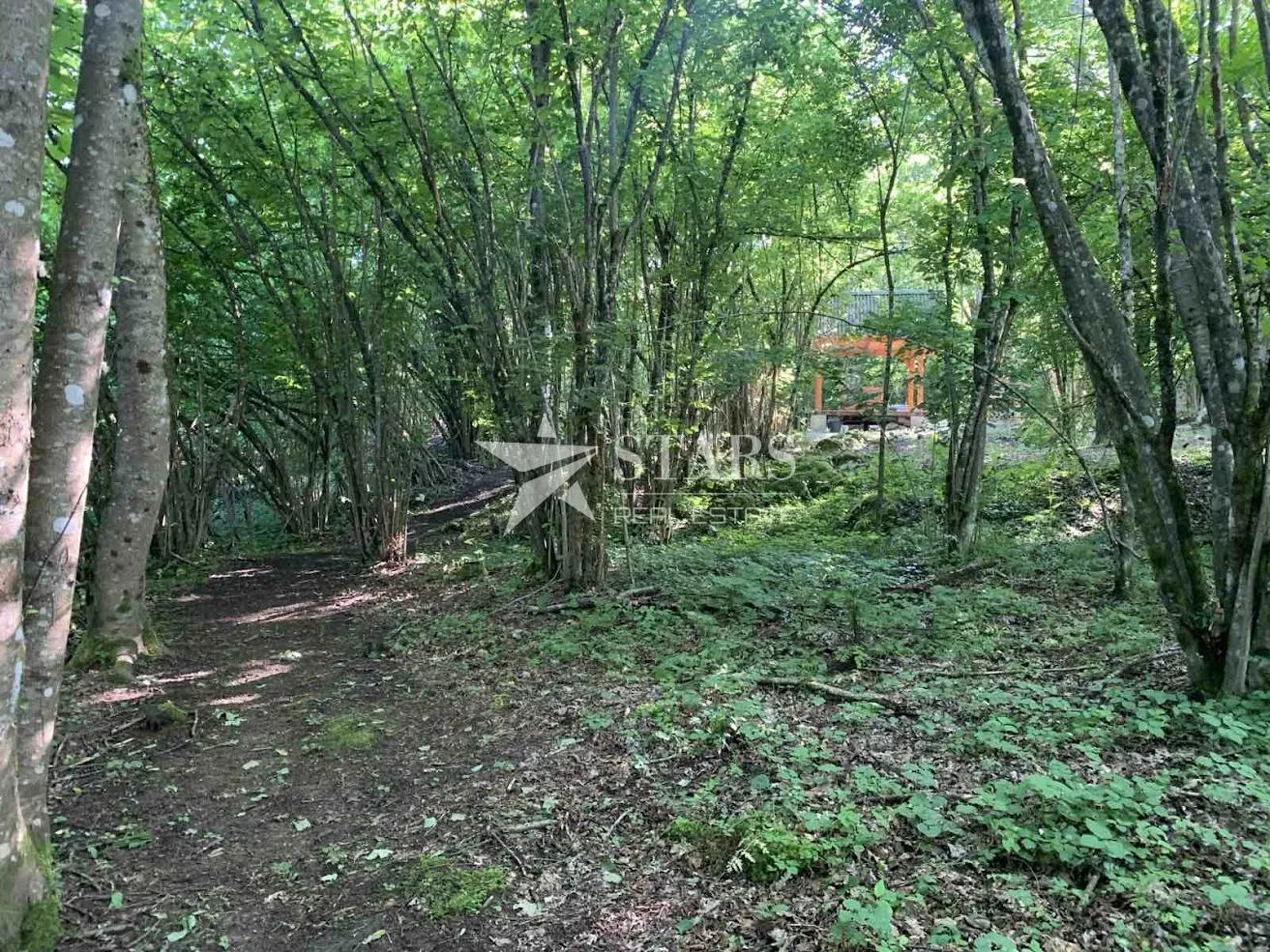 gorski kotar, vrbovsko - poljoprivredni teren sa roštiljem i sjenicom - slika 5
