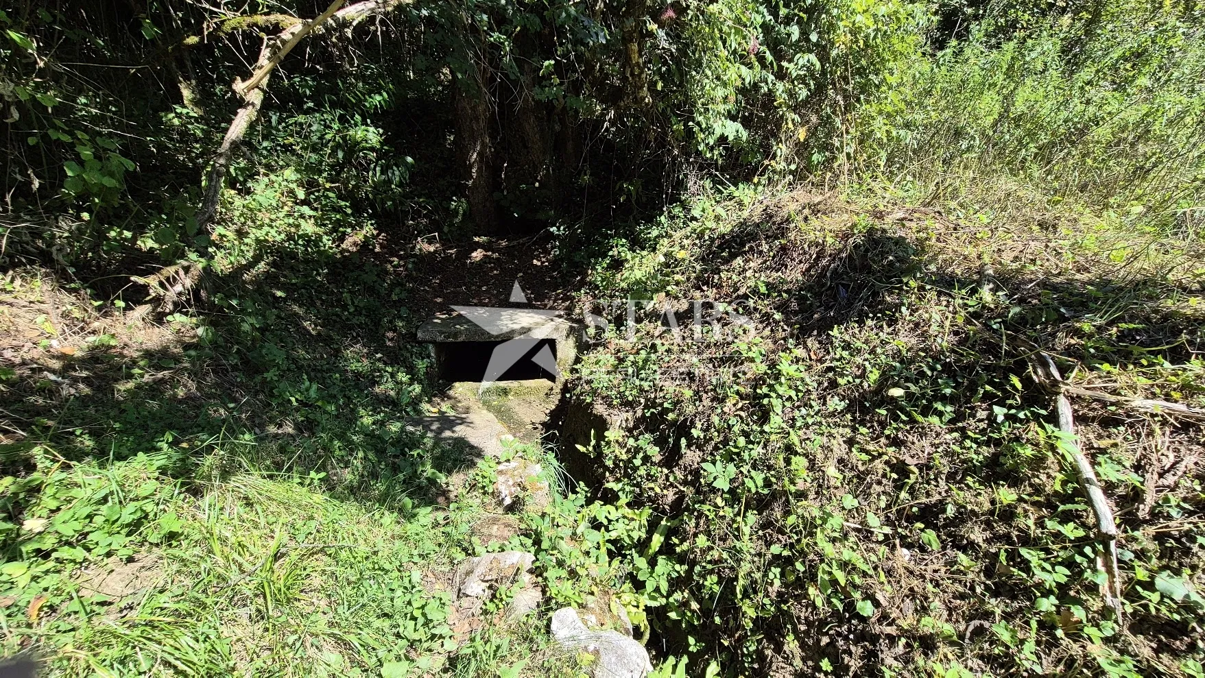 bukovlje, generalski stol – poljoprivredni teren s potencijalom, 5.963 m² - slika 2