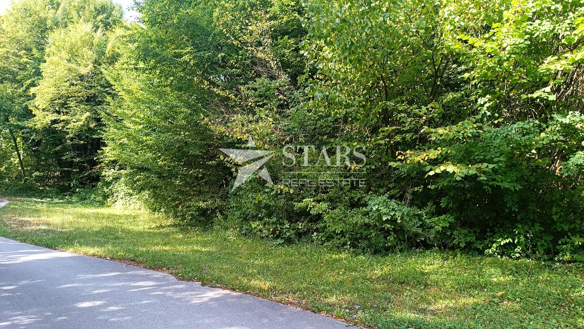 popovo selo - poljoprivredno zemljište – 53.418 m² (šuma, oranice, pašnjaci, livade) - slika 7