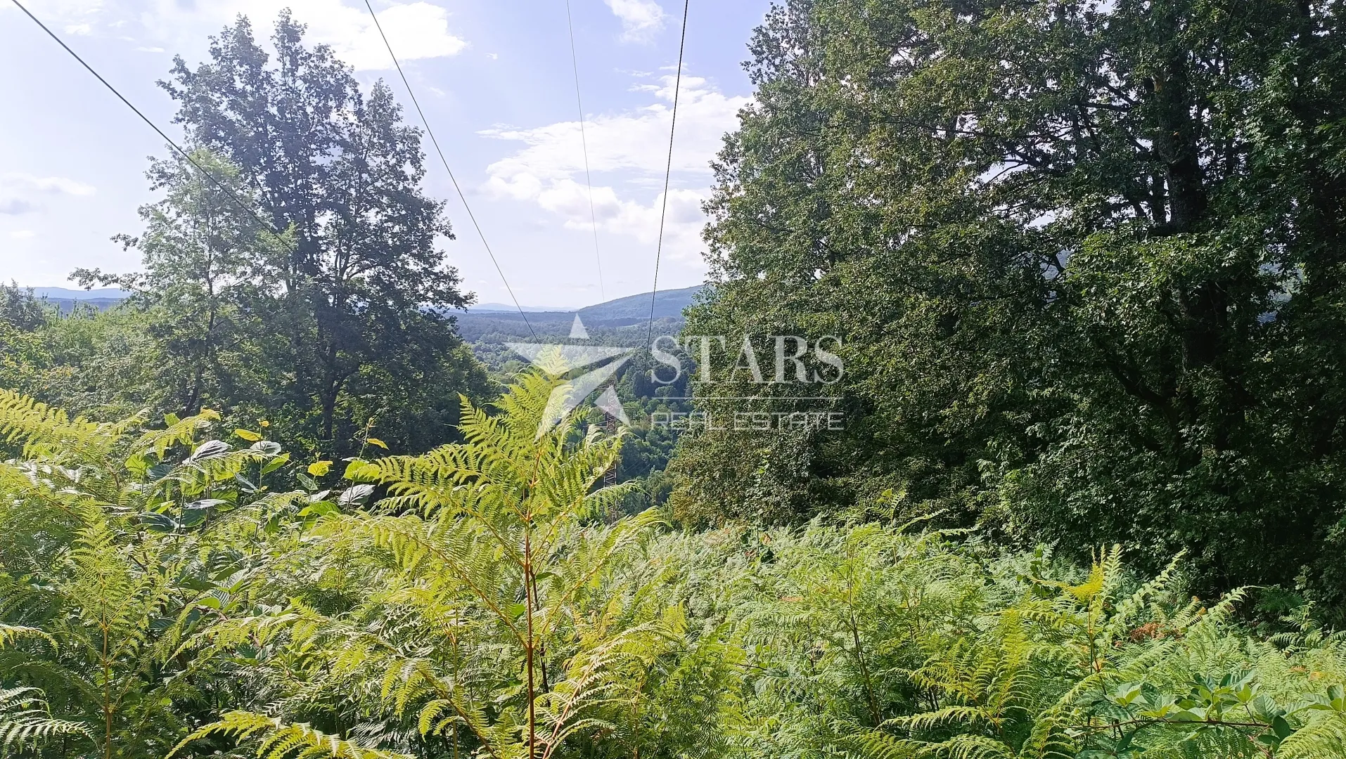popovo selo - poljoprivredno zemljište – 53.418 m² (šuma, oranice, pašnjaci, livade) - slika 2