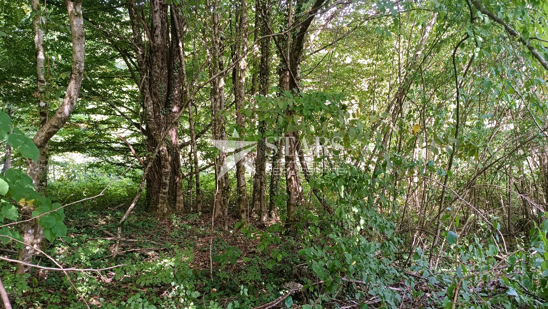 popovo selo - poljoprivredno zemljište – 53.418 m² (šuma, oranice, pašnjaci, livade) - slika 9