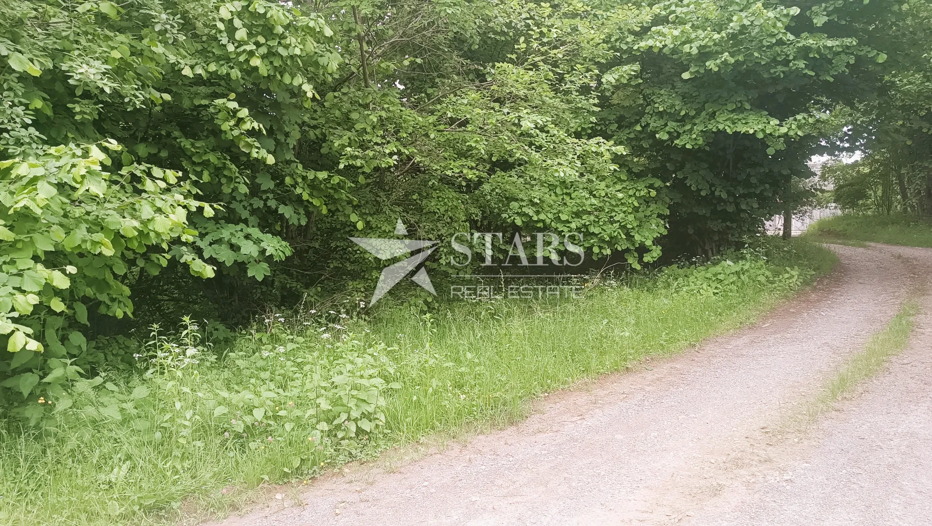 tounj - zemljište , građevinski dio, priroda i potencijal na jednom mjestu! - slika 14
