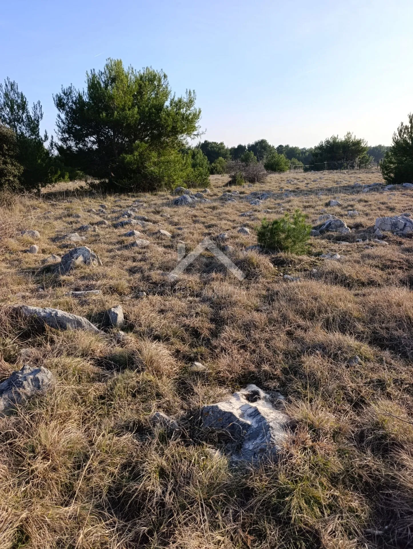 poljoprivredno zemljište 600m2 - vir - slika 3