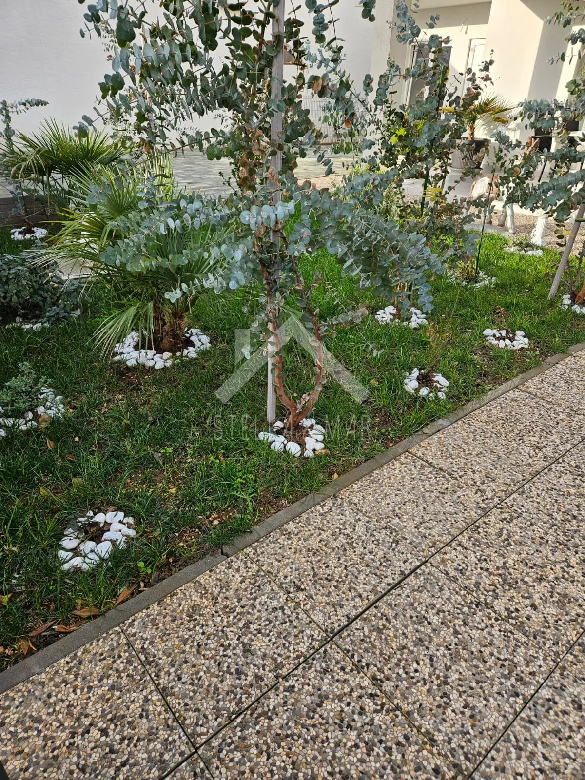 prizemlje kuće sa dva apartmana - vir - slika 18