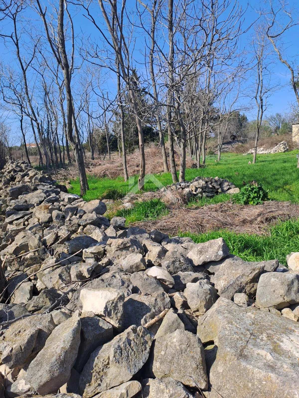 građevinsko zemljište 774m2 - vrsi, blizina centra - slika 5