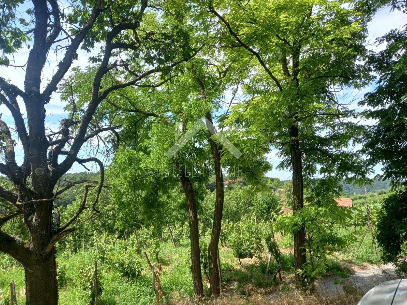 vurnovec – zemljište s prekrasnim panoramskim pogledom - slika 12