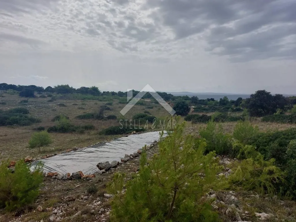 hitno!! poljoprivredno zemljište - vir - slika 6