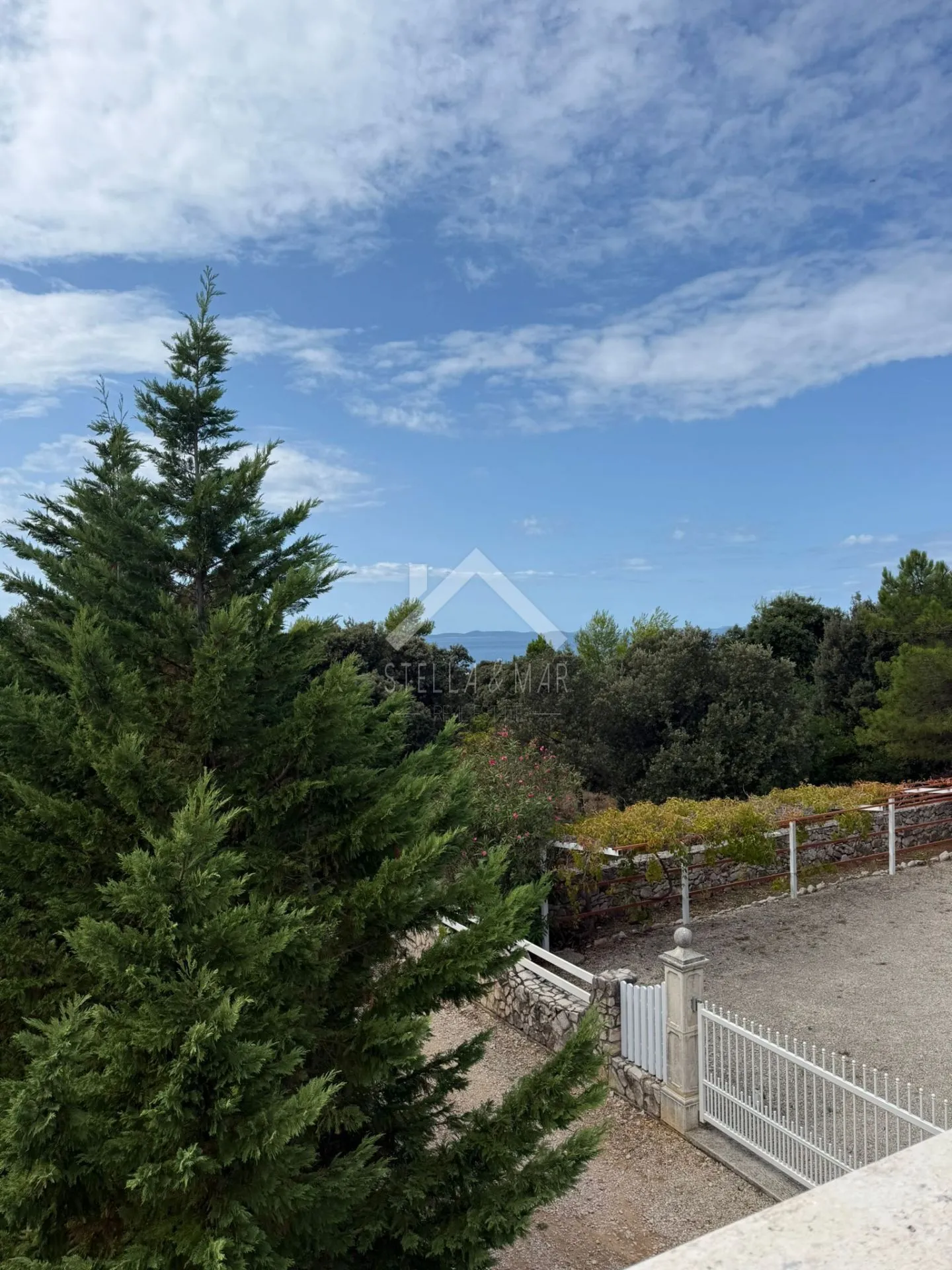 kuća, 1.red do mora sa 1842m2 okućnice - vir - slika 40