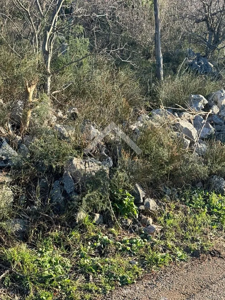građevinsko zemljište 1500m2 - rovanjska - slika 5
