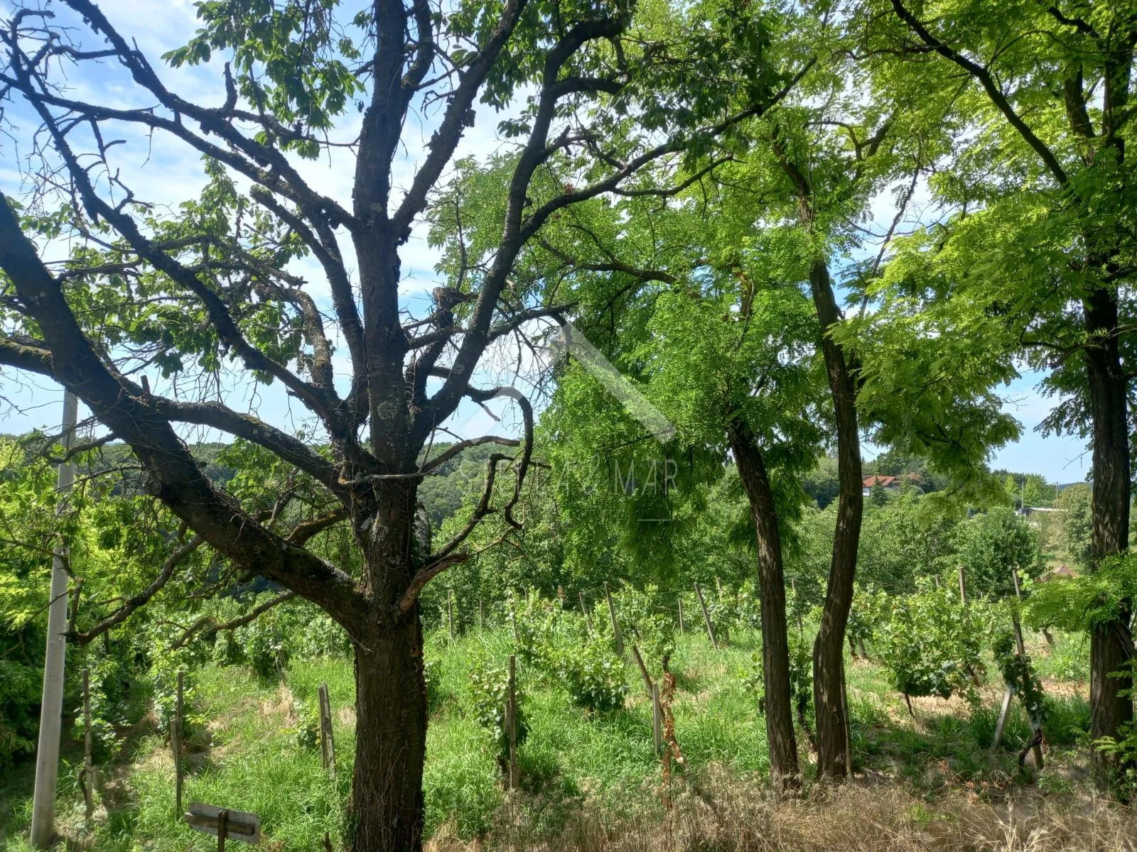 vurnovec – zemljište s prekrasnim panoramskim pogledom - slika 10