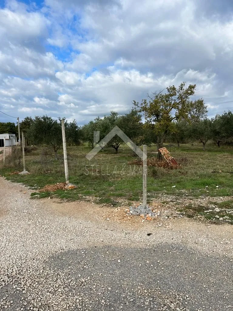 građevinsko zemljište 5046m2 - murvica - slika 2