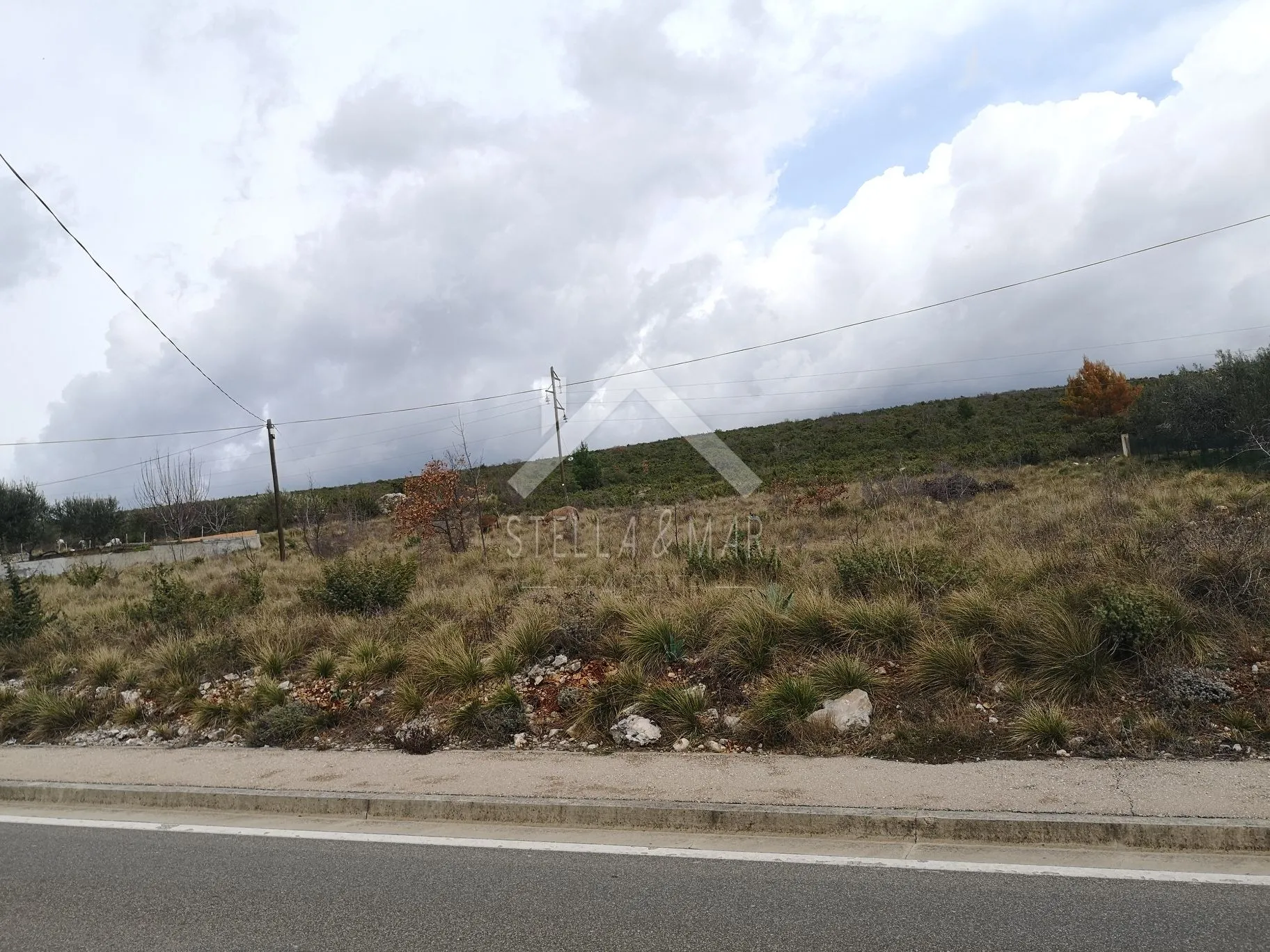 građevinsko zemljište 1500 m2 - slivnica donja - slika 3