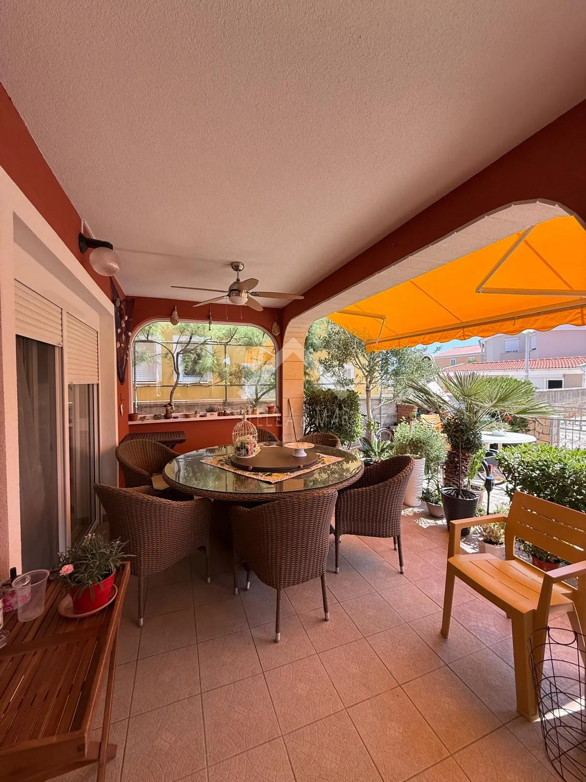 apartmanska kuća 20m do mora - vir - slika 6