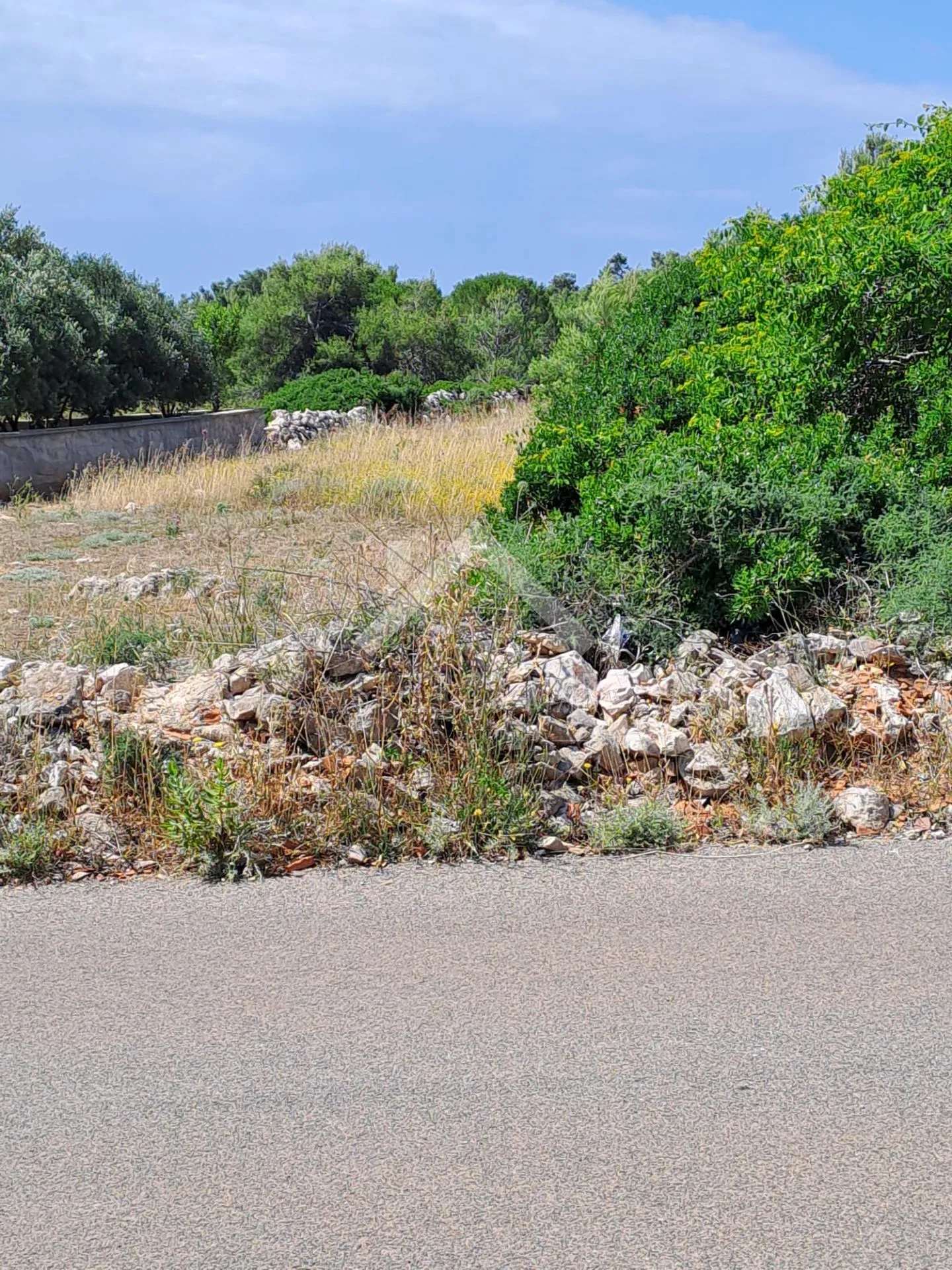 građevinsko zemljište 636m2 - vir - slika 3