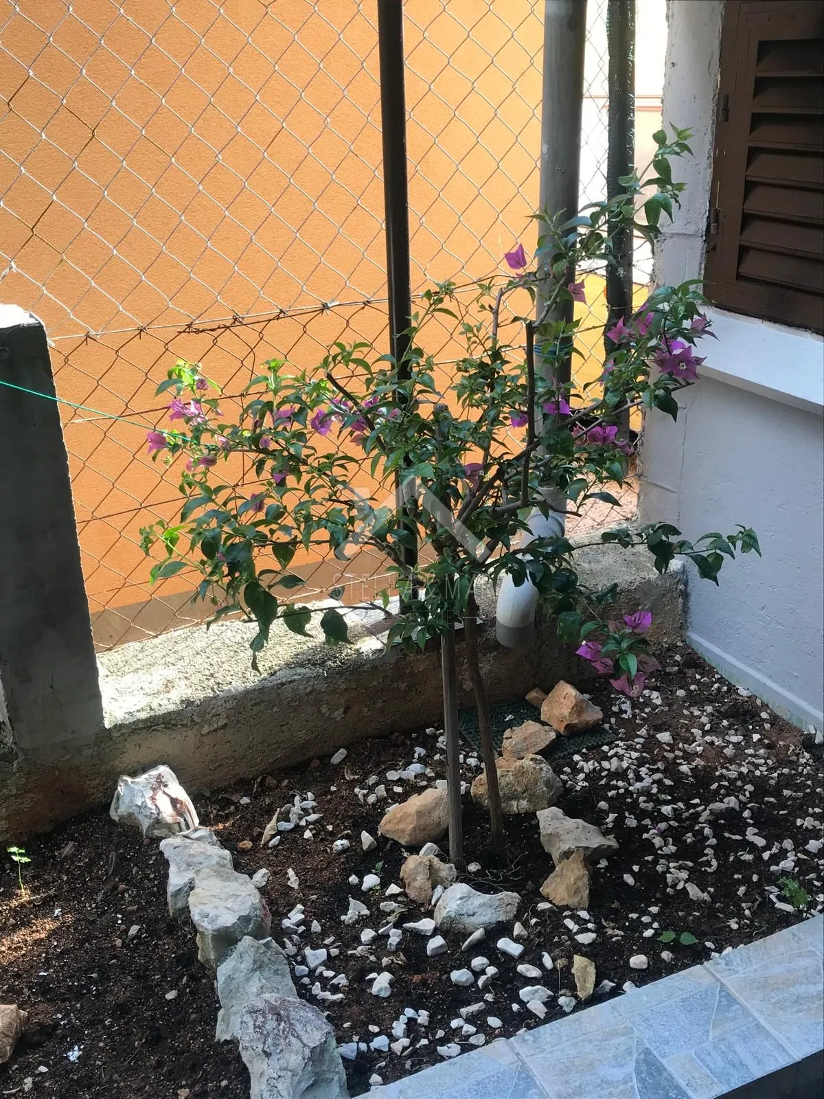 kuća sa 4 apartmana, južna strana - vir - slika 5
