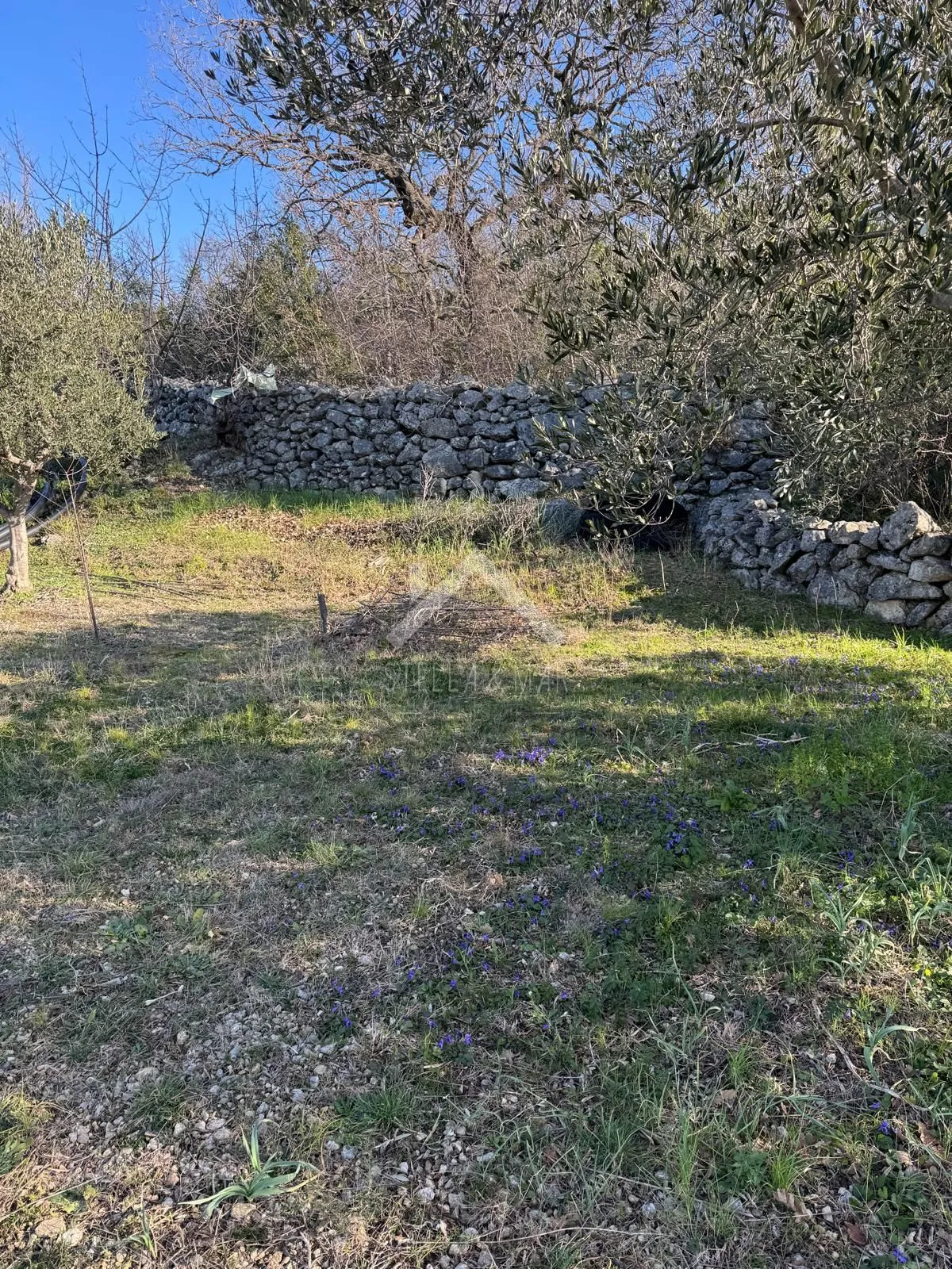 građevinsko zemljište 791m2 prvi red do mora - maslenica - slika 4