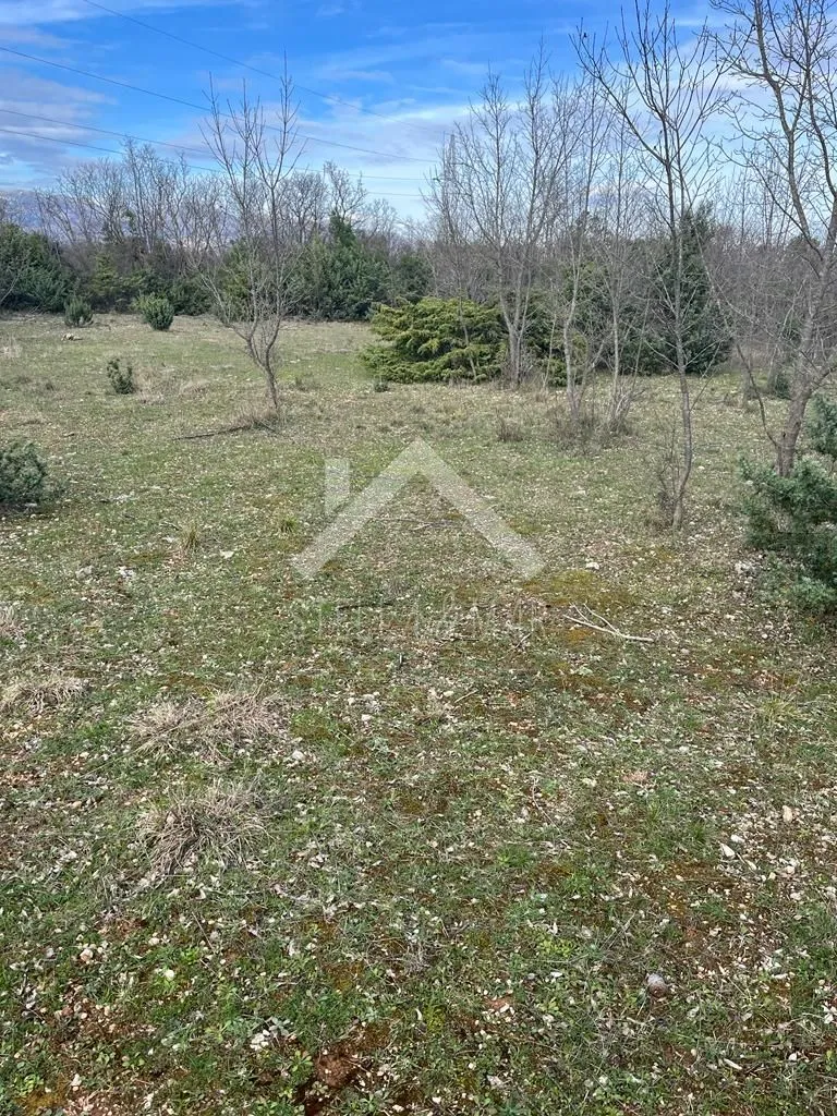 poljoprivredno zemljište 3600m2 - pridraga, zadar - slika 3