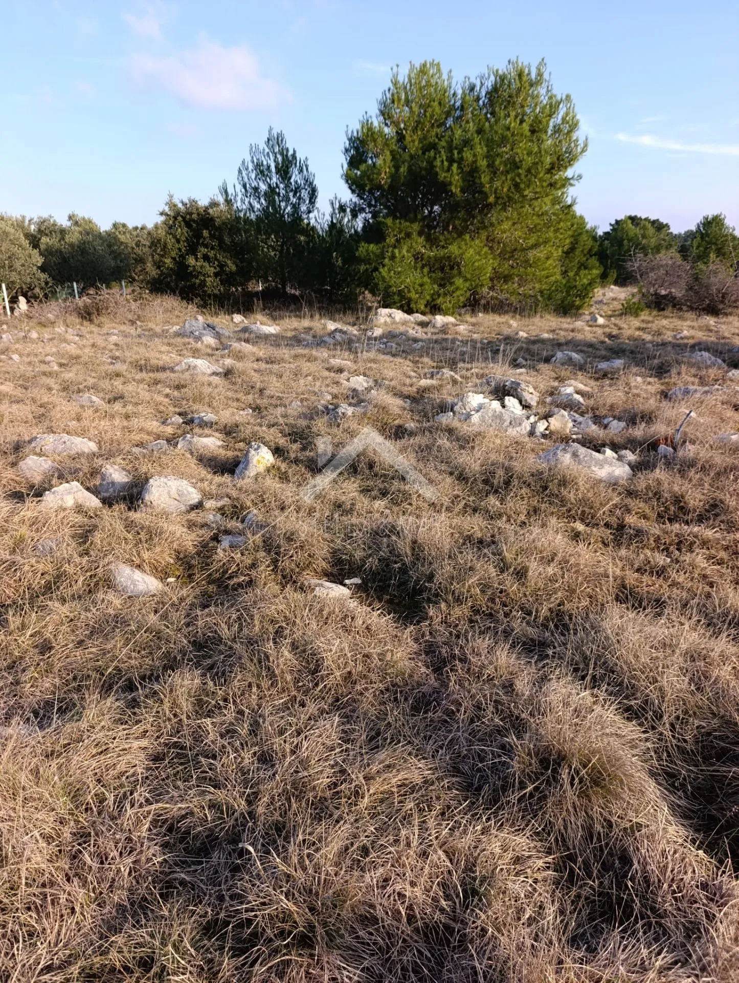 poljoprivredno zemljište 600m2 - vir - slika 2