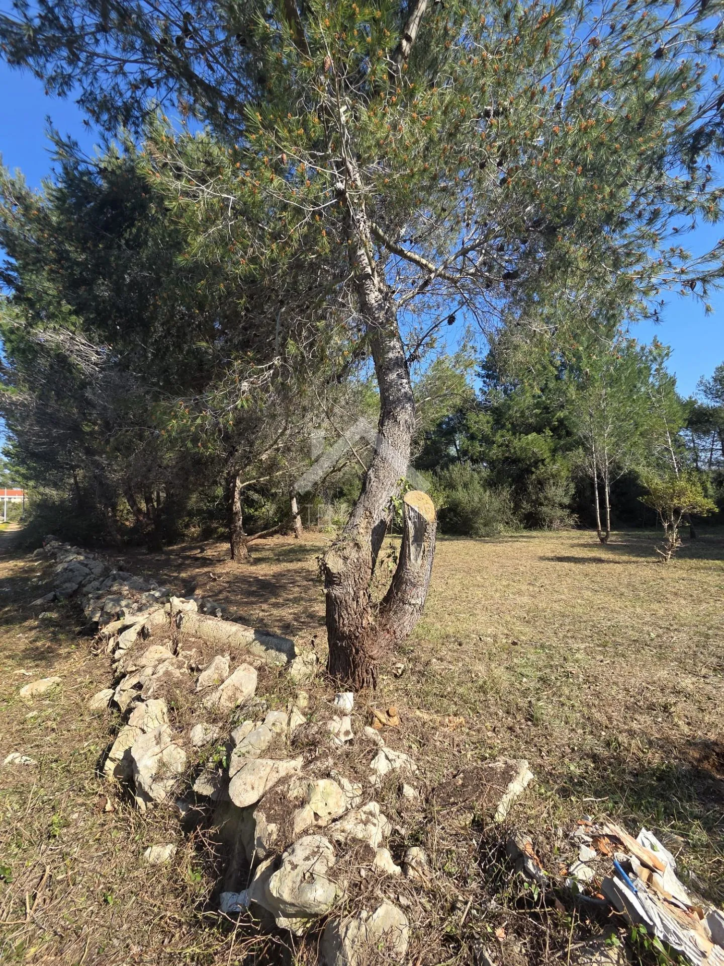 poljoprivredno zemljište, južna strana - vir - slika 2
