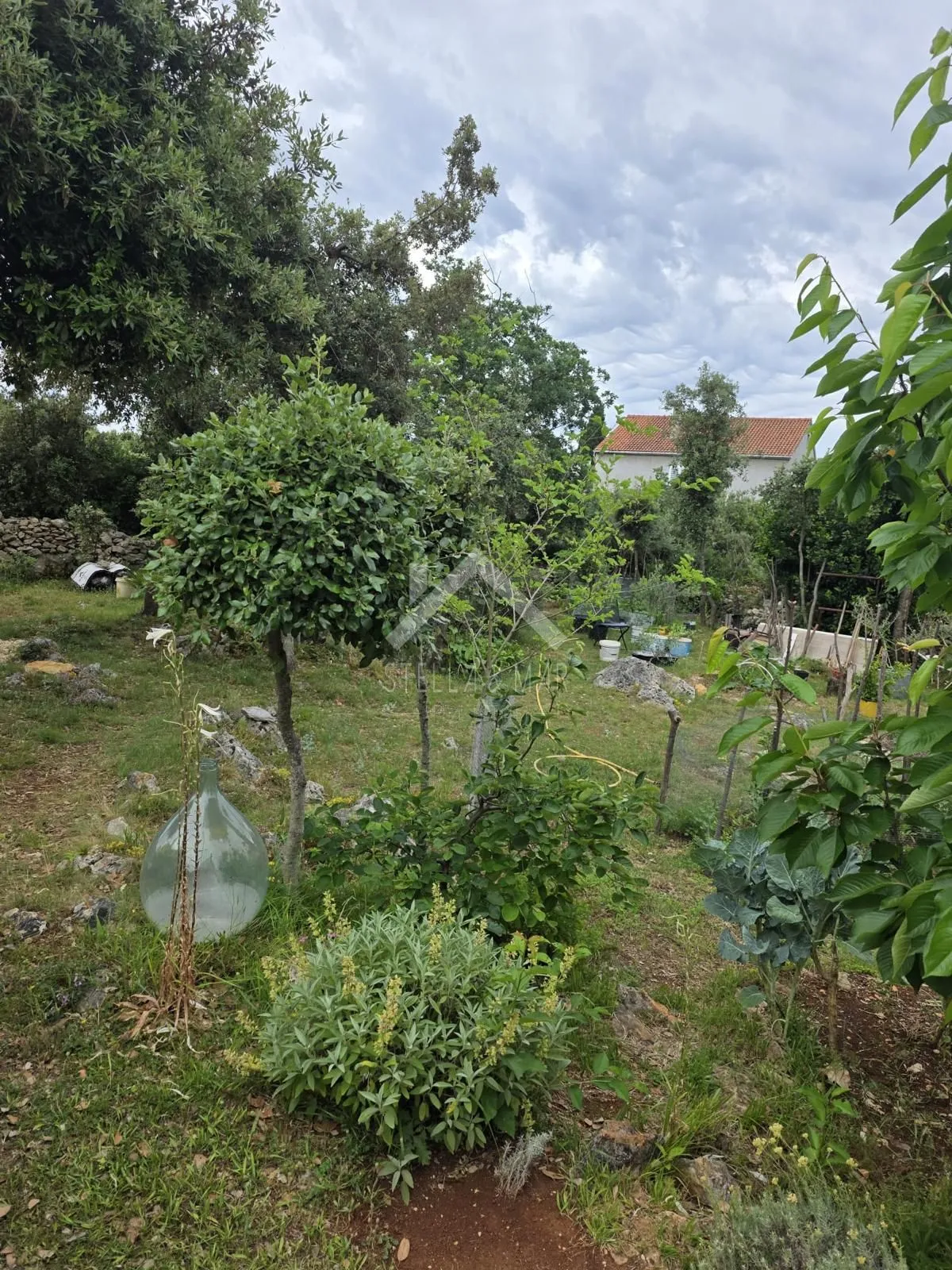 građevinsko zemljište - petrčane - slika 4
