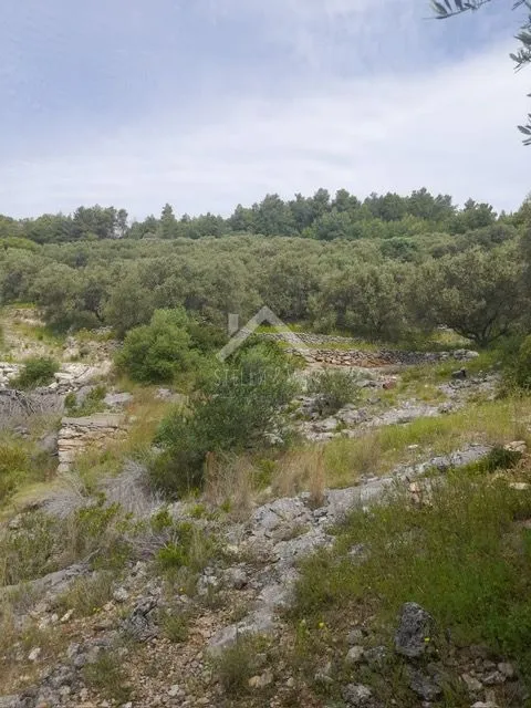 građevinsko zemljište -korčula - slika 8