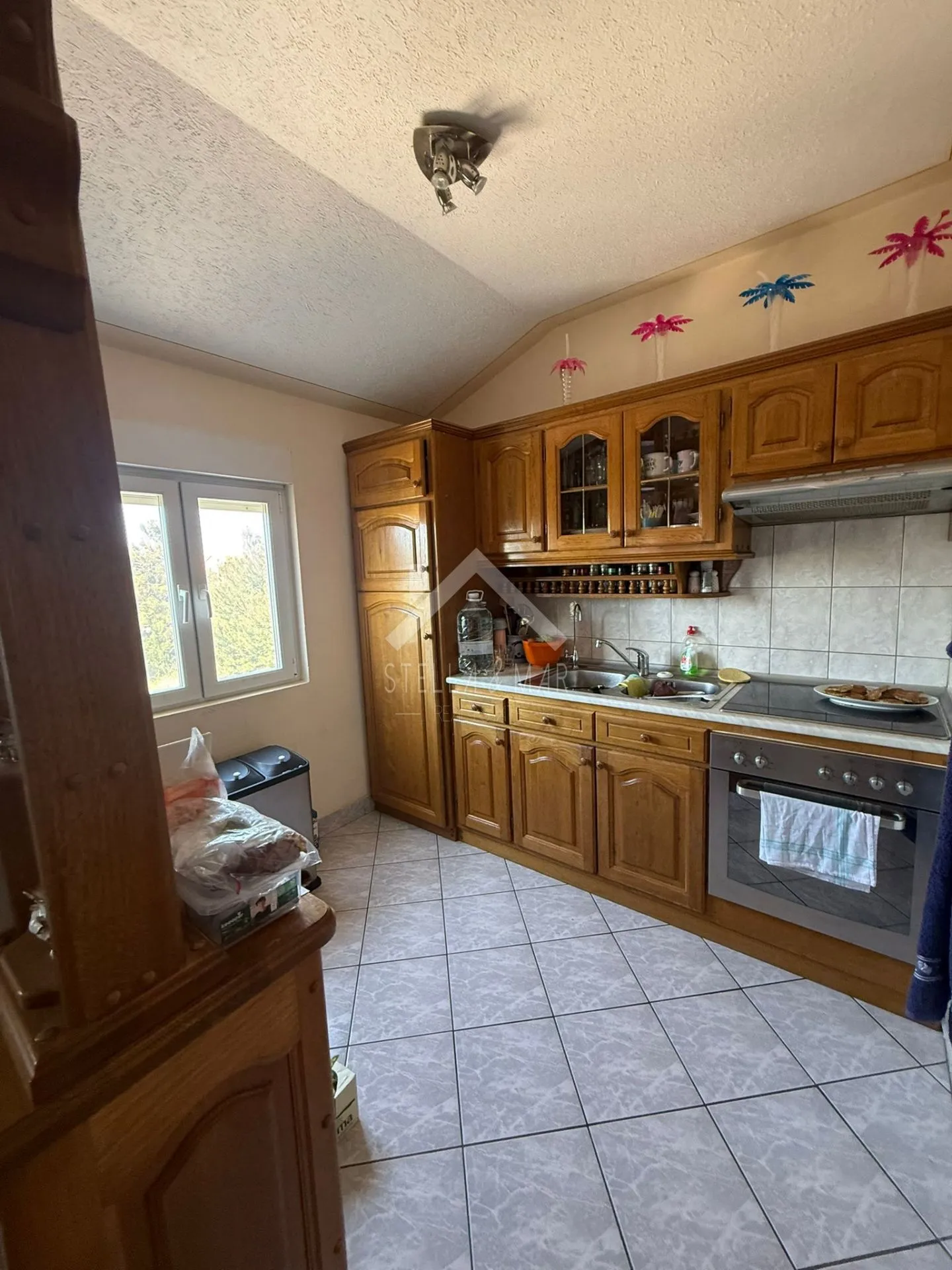 kuća sa dva apartmana, prostrano dvorište - vir - slika 22