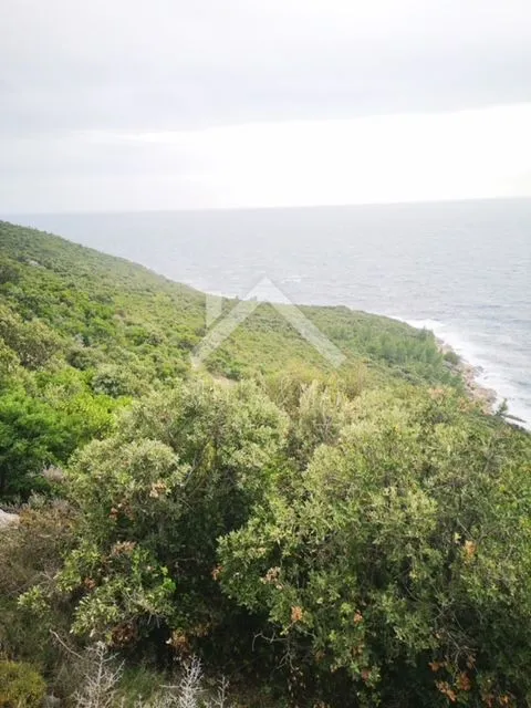 građevinsko zemljište - prvi red do mora - cavtat - slika 3