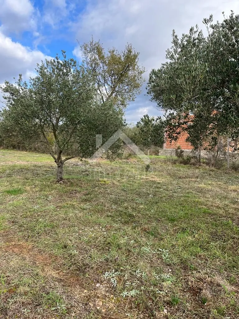 građevinsko zemljište 5046m2 - murvica - slika 6