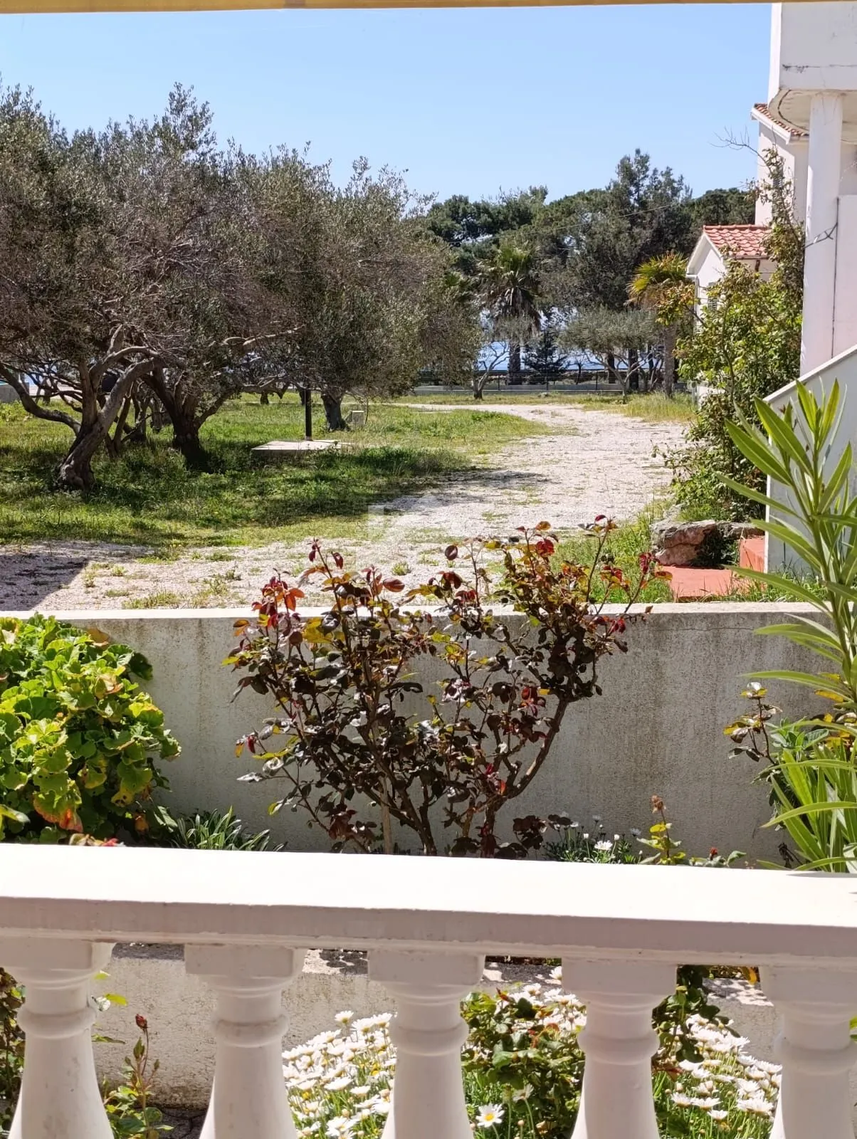 Prizemnica + studio apartman i garaža, 50m od mora -Vir