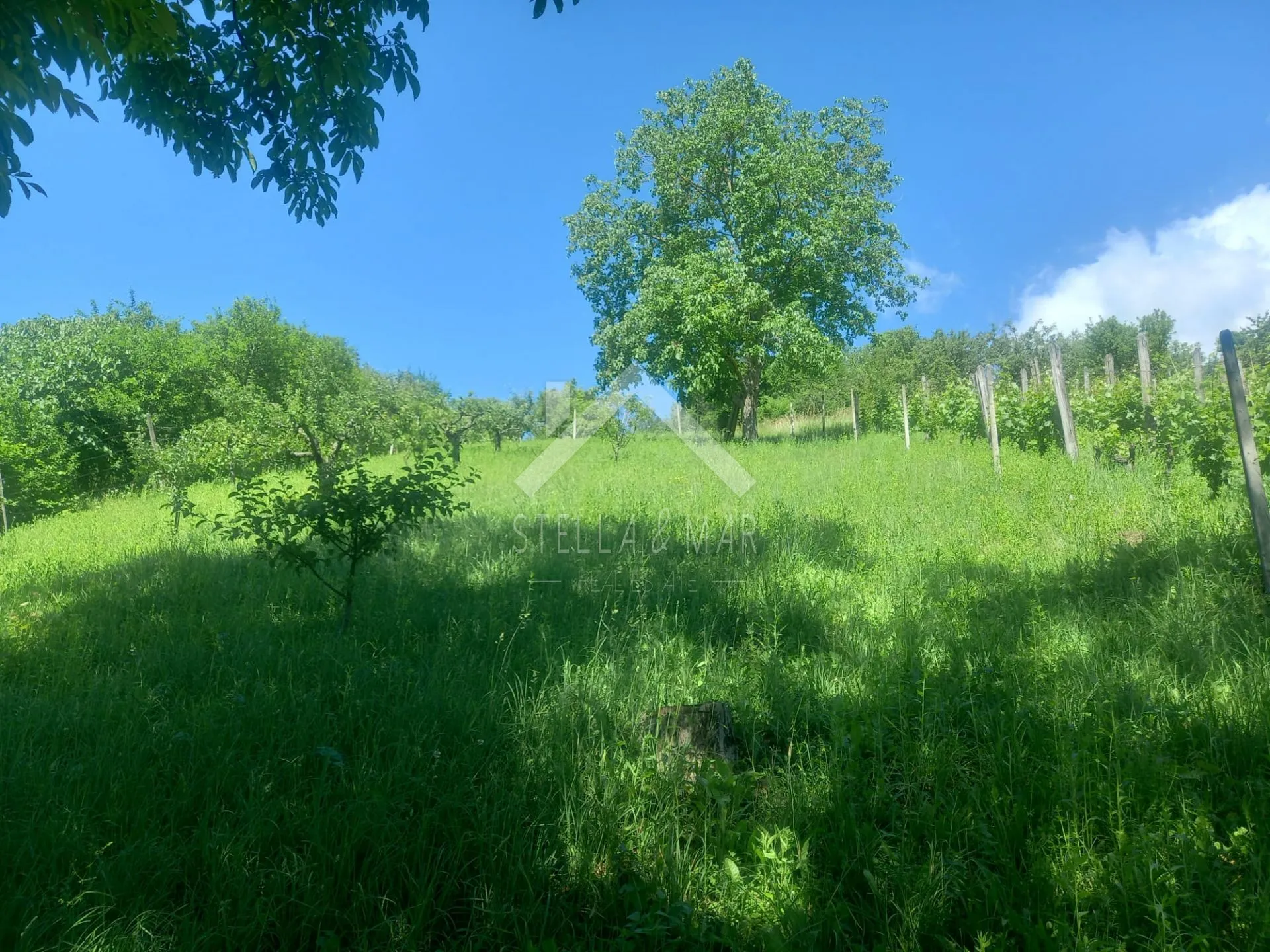 građevinsko zemljište - prekvršje - slika 3