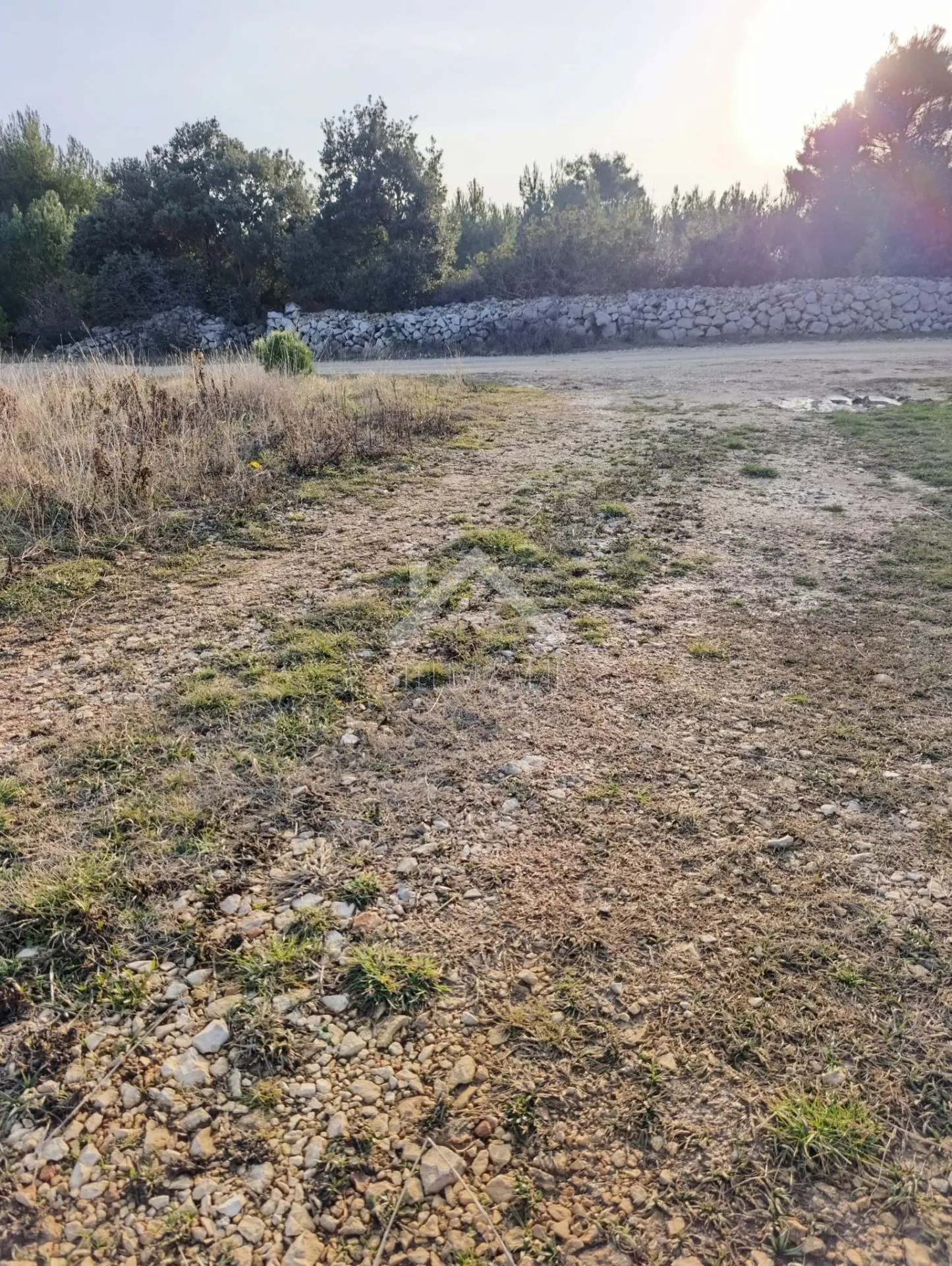 poljoprivredno zemljište 600m2 - vir - slika 5