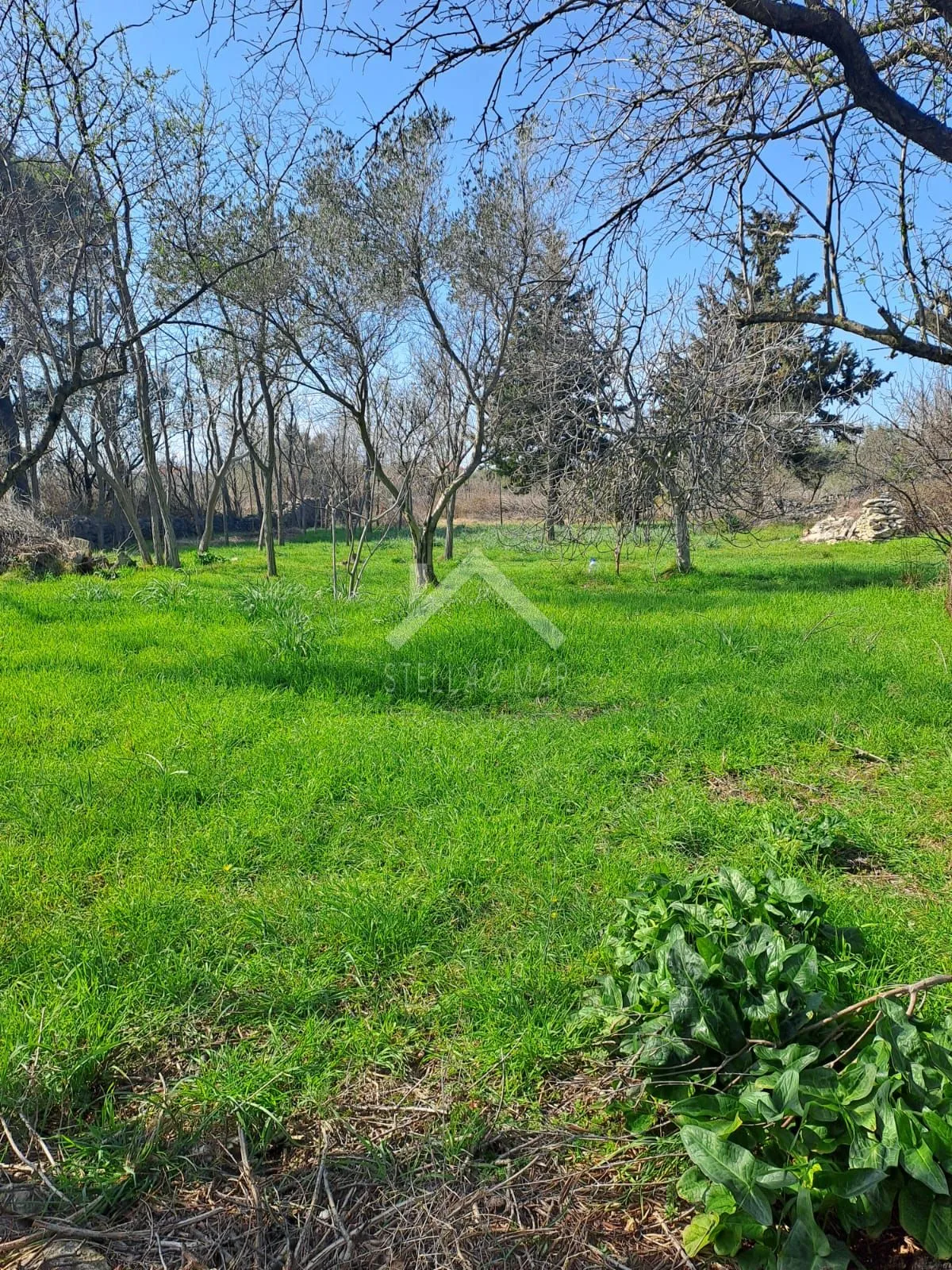 građevinsko zemljište 892m2 - vrsi, blizina centra - slika 3