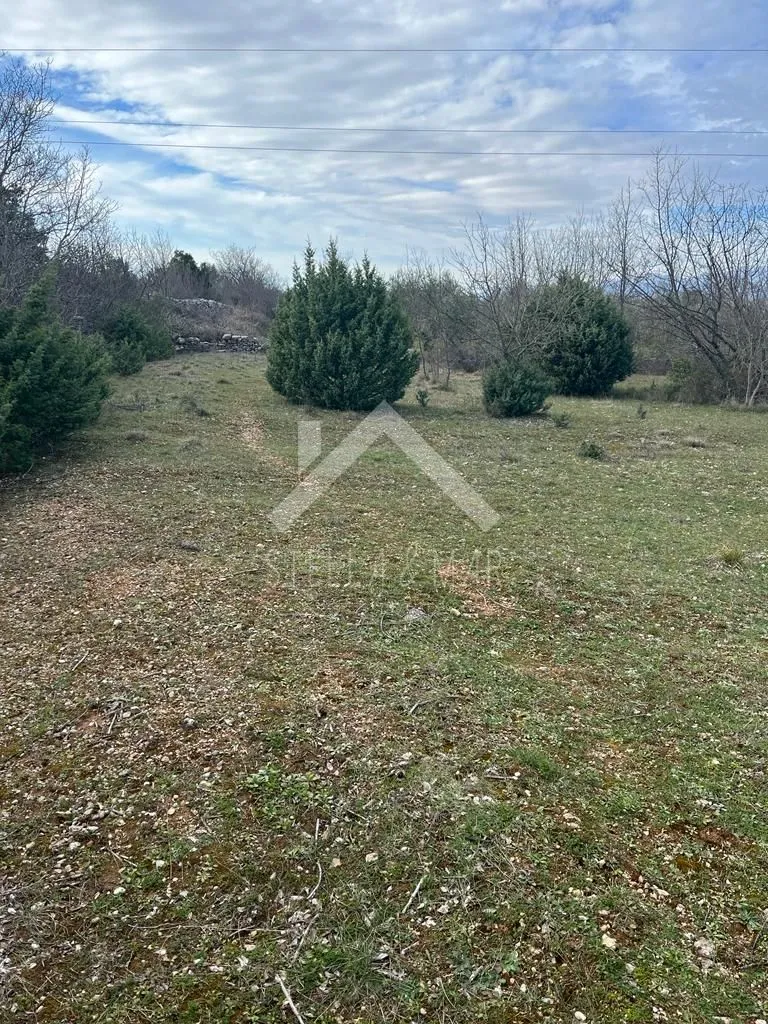 Poljoprivredno zemljište 3600m2 - Pridraga, Zadar - Pridraga, Novigrad