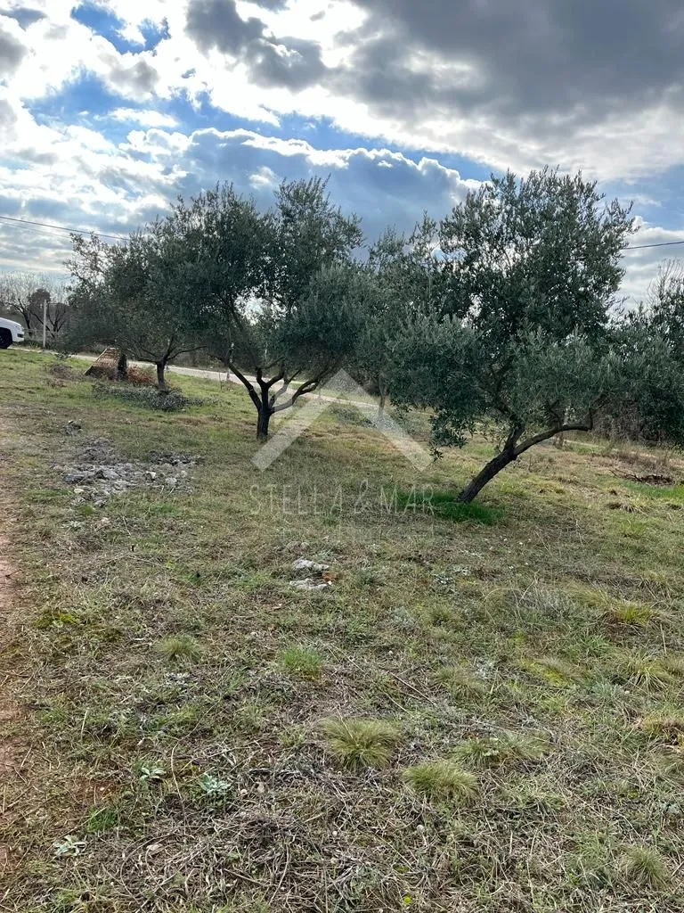 građevinsko zemljište 5046m2 - murvica - slika 5